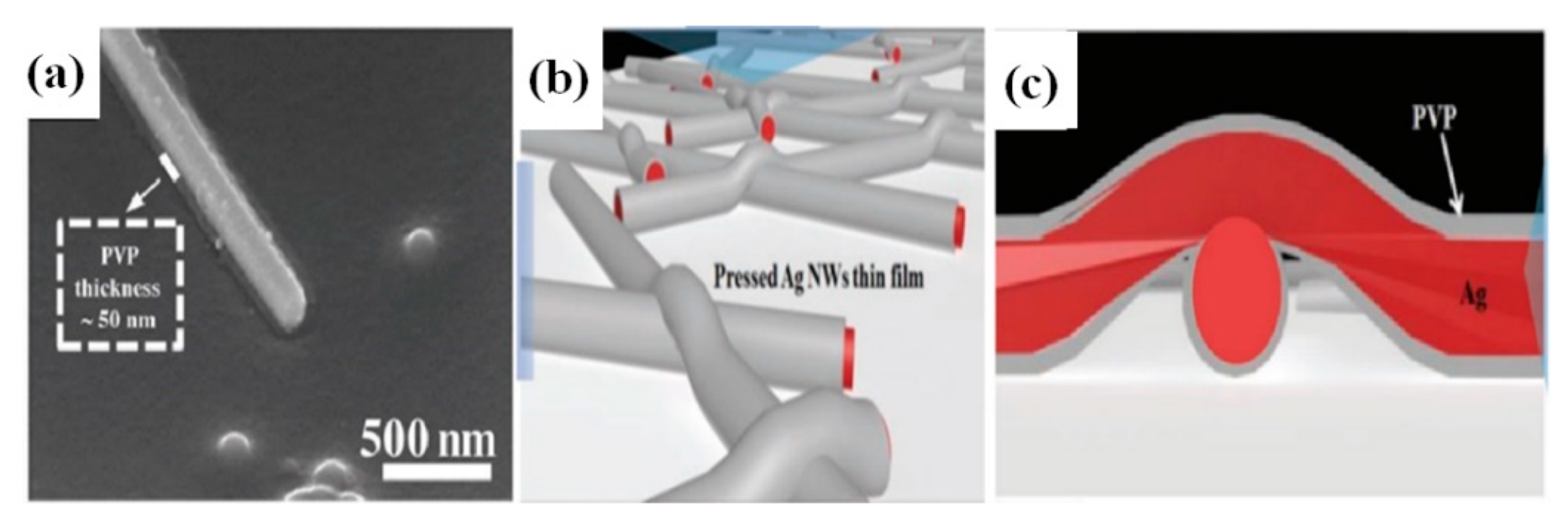 Nanomaterials 11 00693 g016