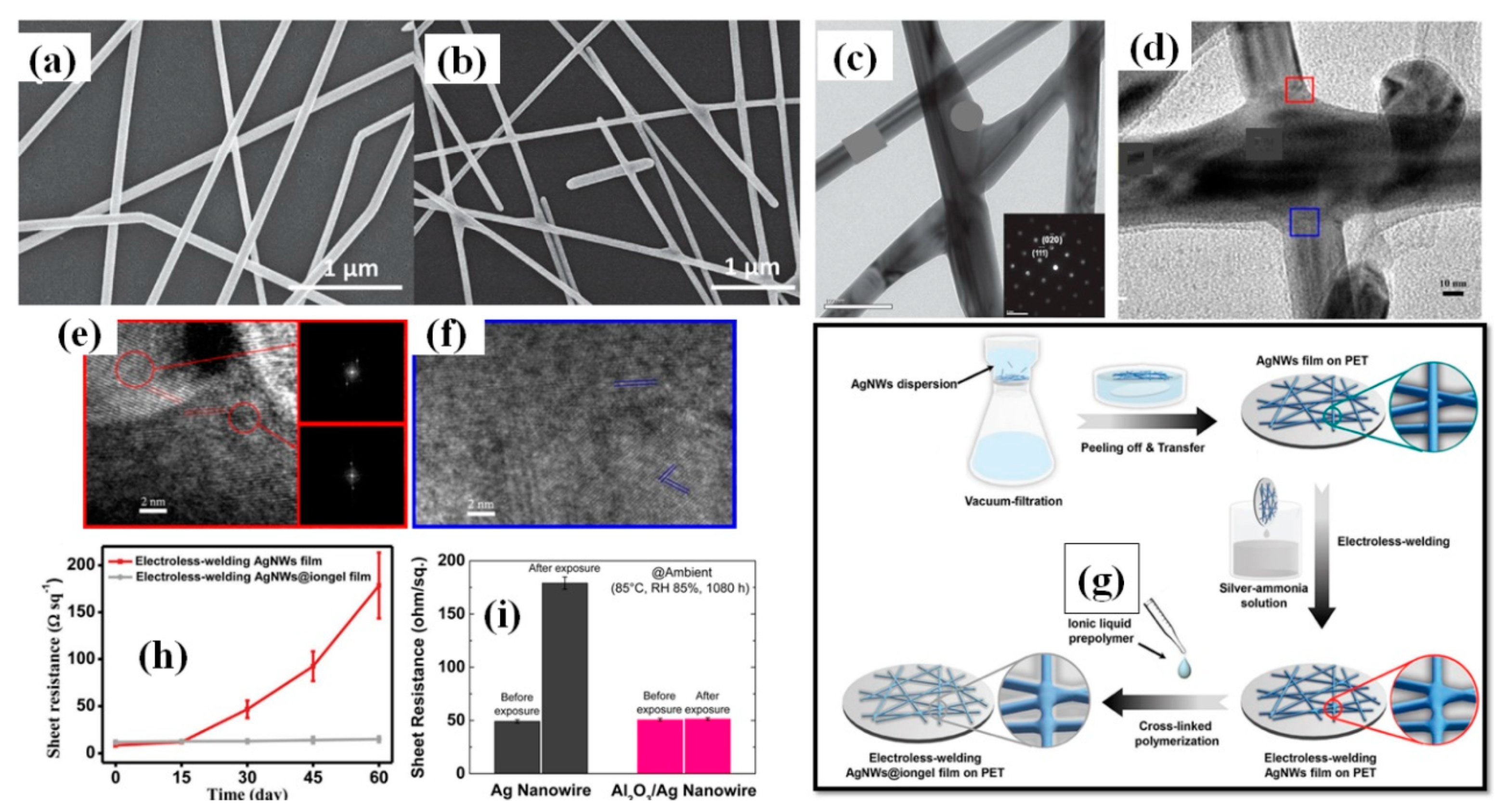 Nanomaterials 11 00693 g022