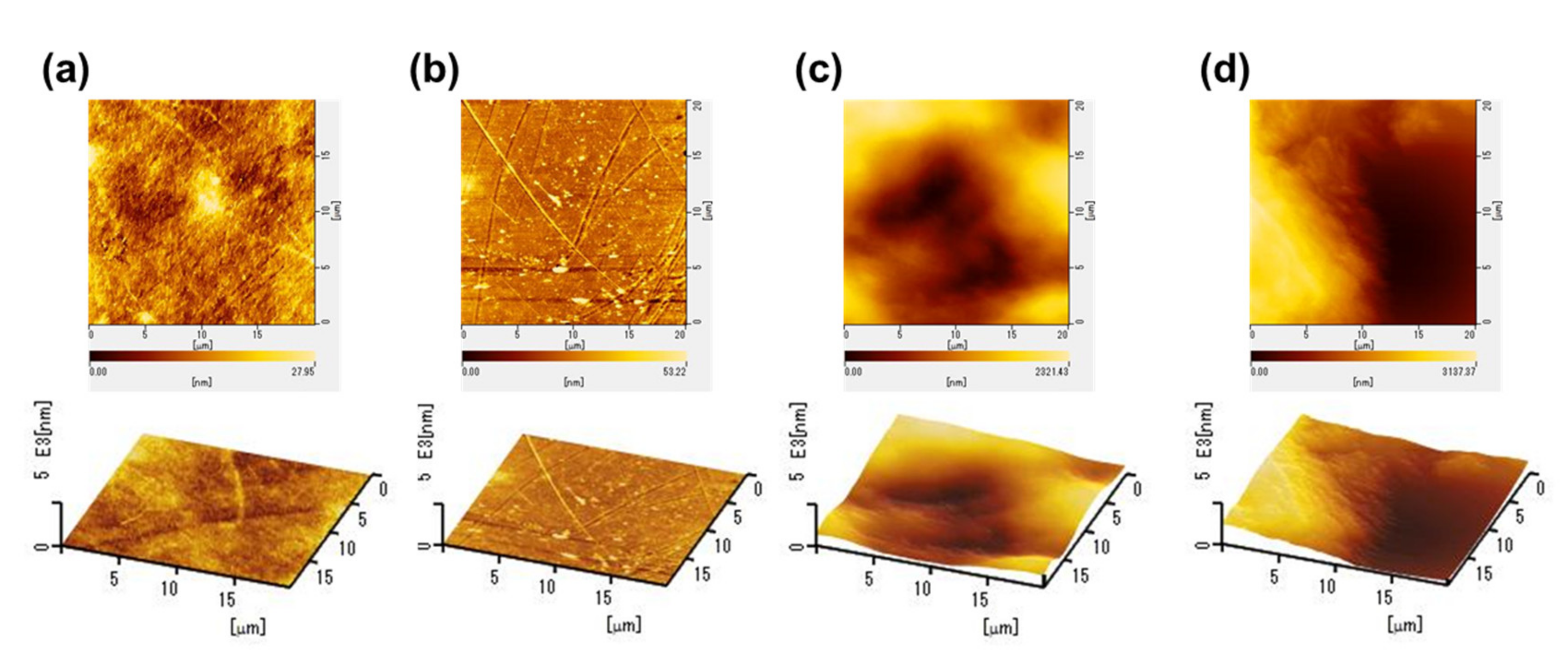 Nanomaterials 11 00697 g002