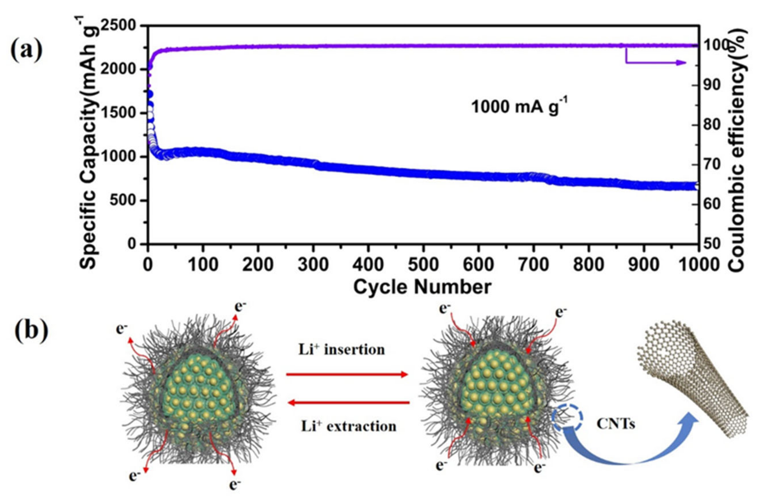 Nanomaterials 11 00699 g005 Nanomaterials 11 00699 g005