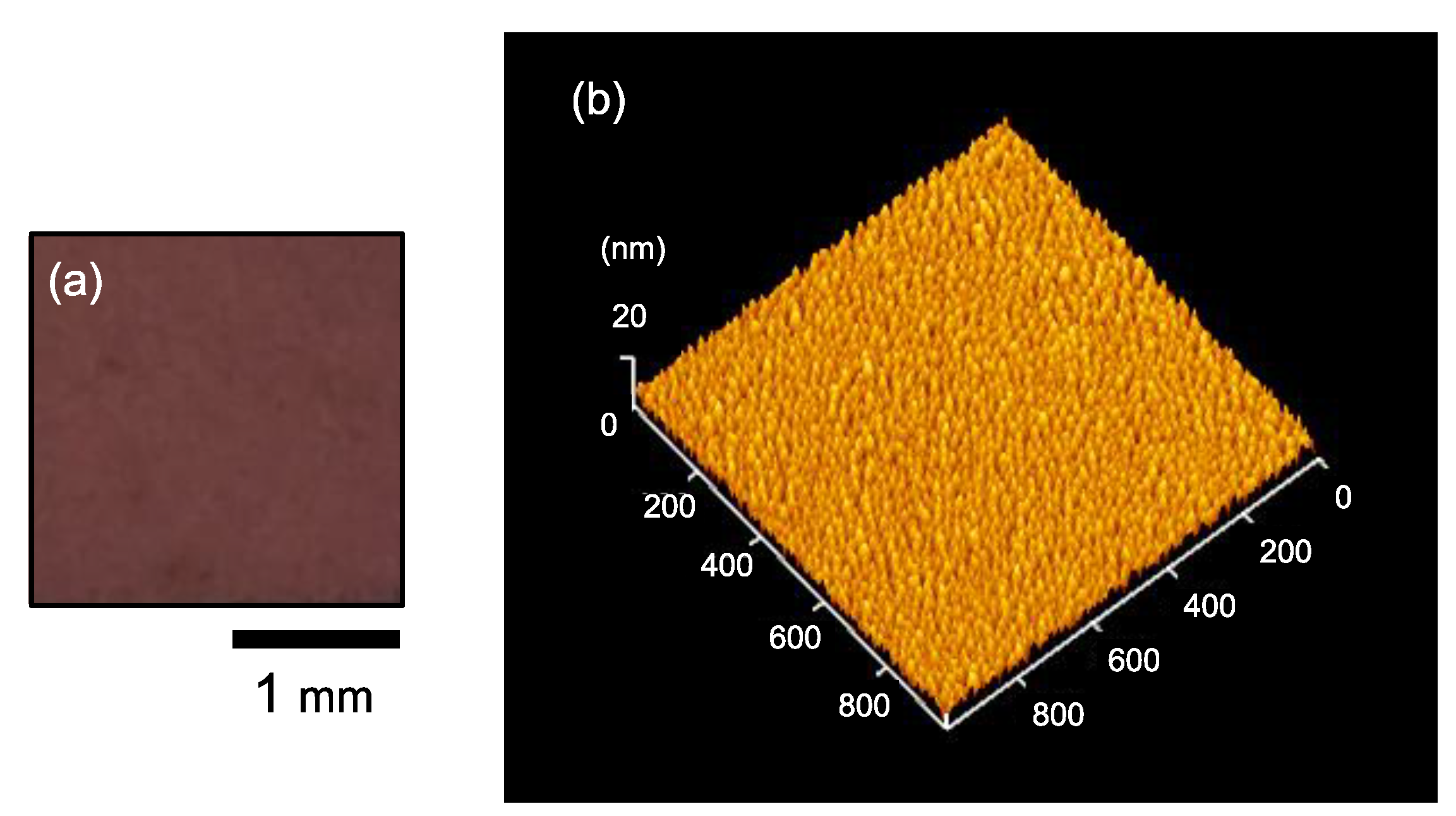 Nanomaterials 11 00701 g001