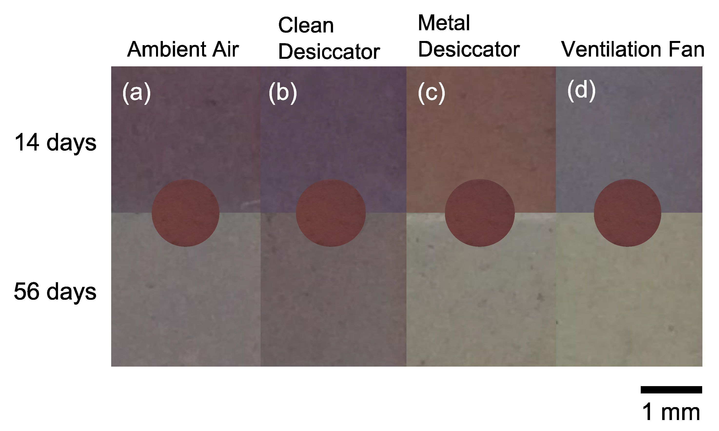 Nanomaterials 11 00701 g002