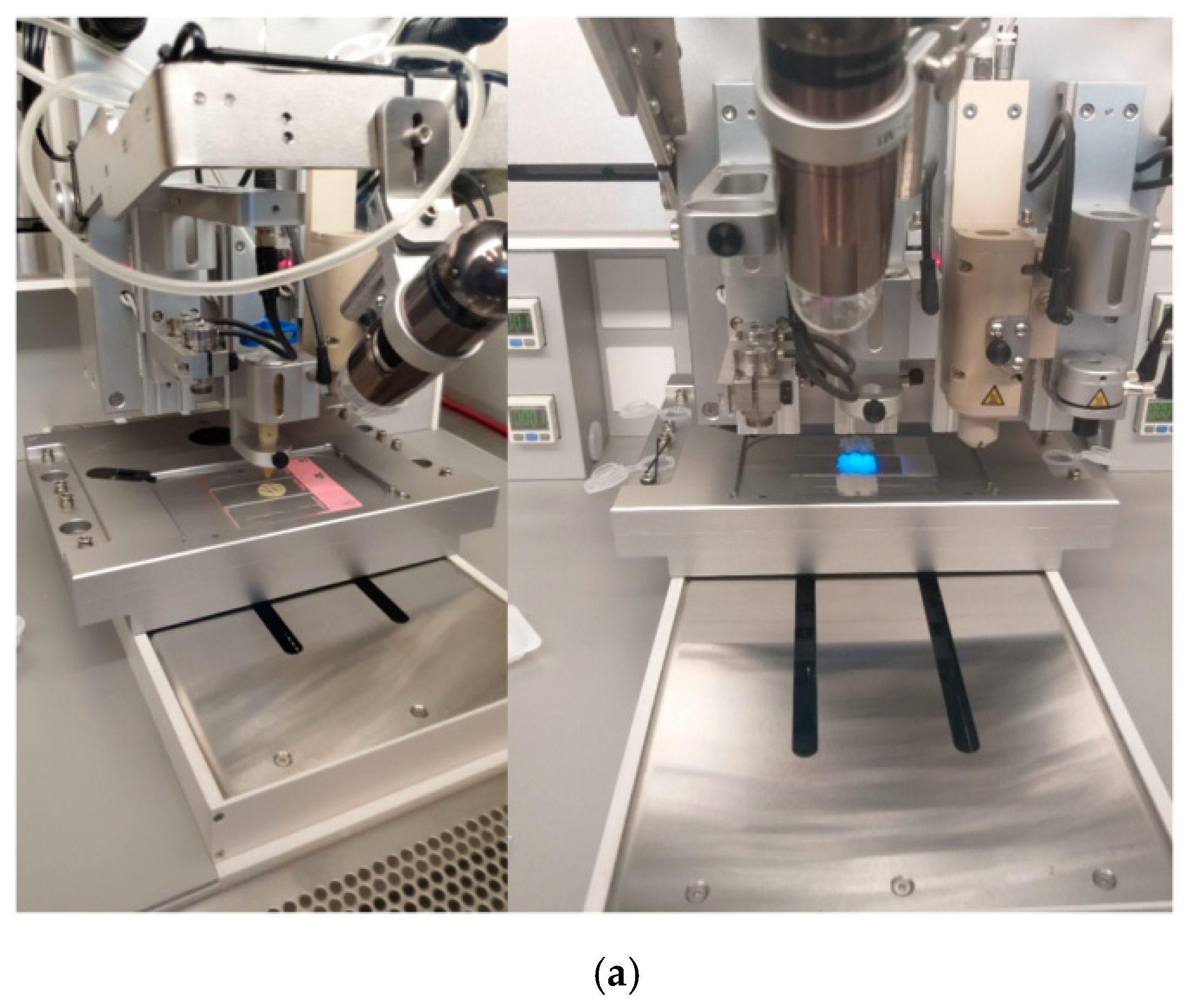 Nanomaterials 11 00703 g011a Nanomaterials 11 00703 g011a