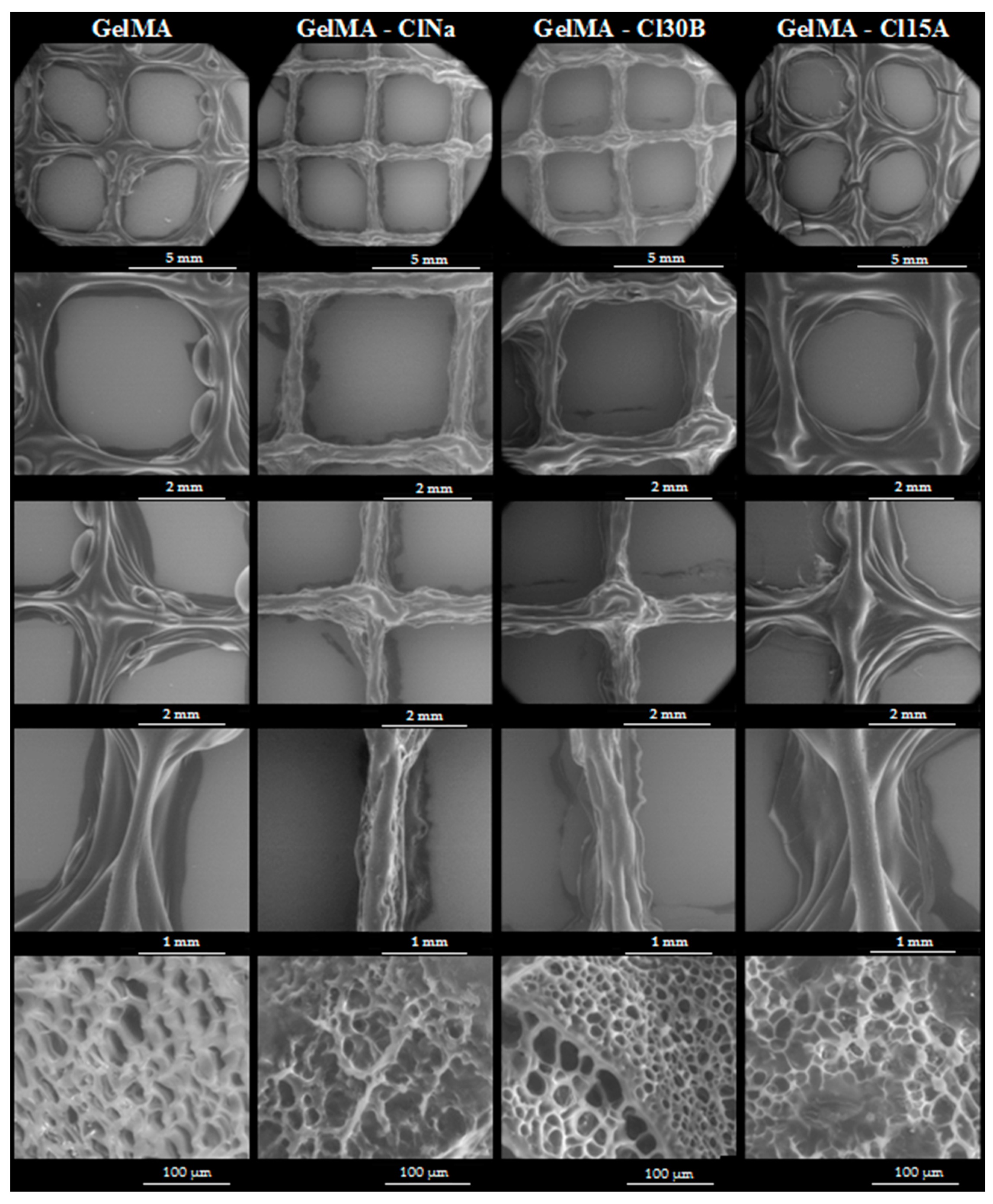 Nanomaterials 11 00703 g012 Nanomaterials 11 00703 g012