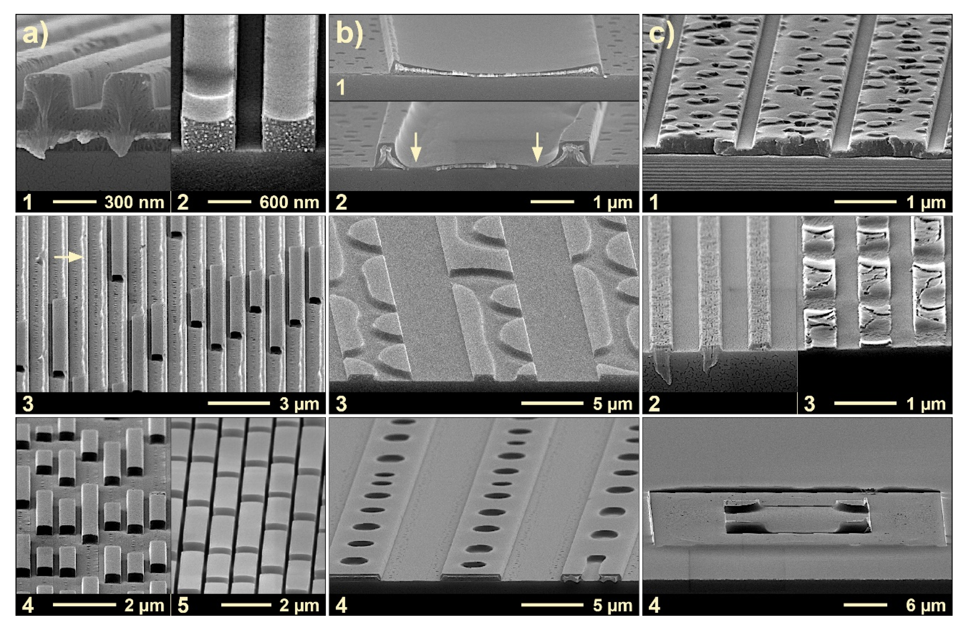 Nanomaterials 11 00710 g002 Nanomaterials 11 00710 g002