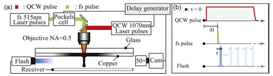 Nanomaterials 11 00712 g012