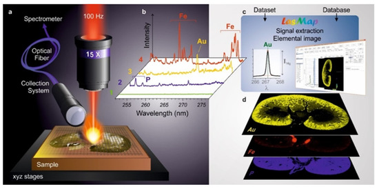 Nanomaterials 11 00712 g019