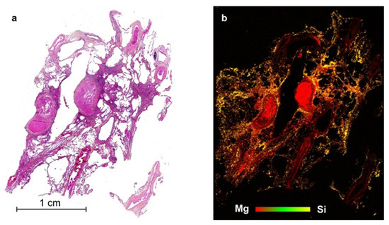 Nanomaterials 11 00712 g020