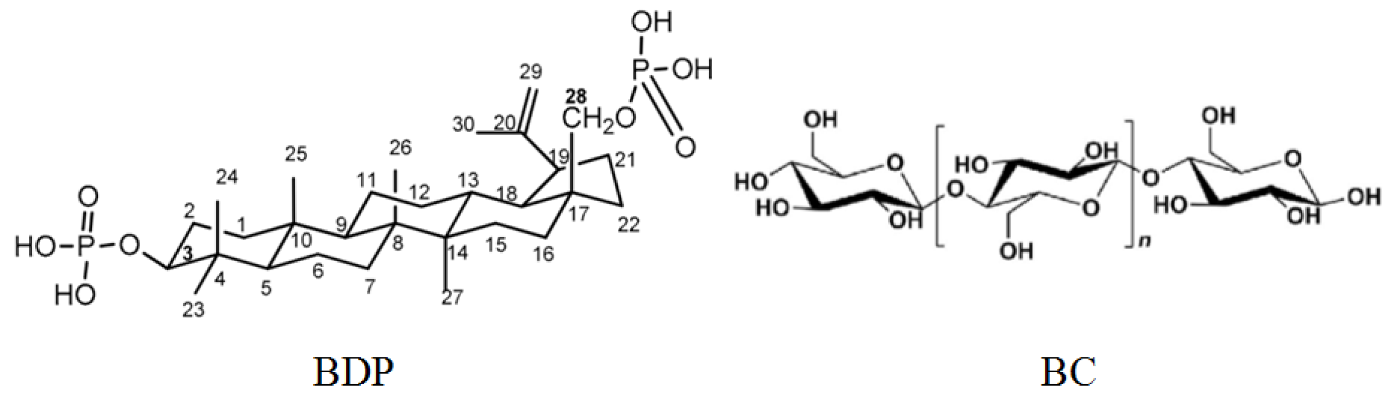 Nanomaterials 11 00713 g008