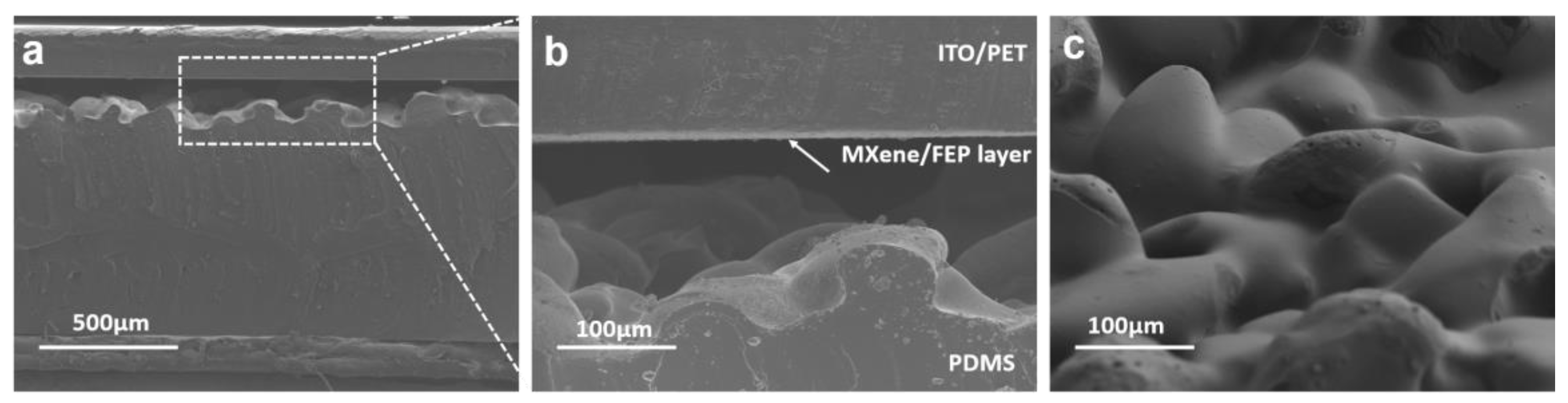 Nanomaterials 11 00716 g003