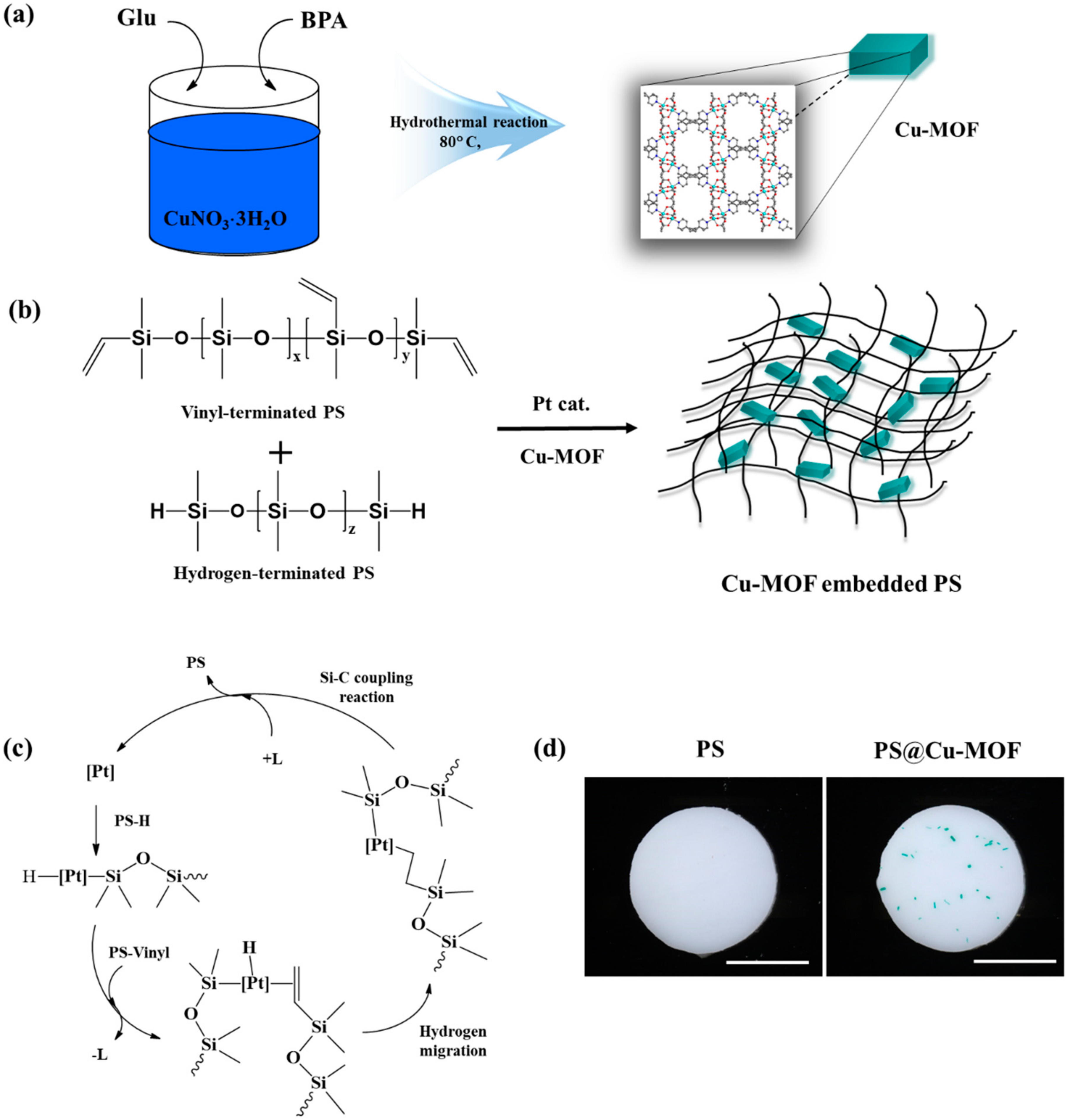 Nanomaterials 11 00719 g001