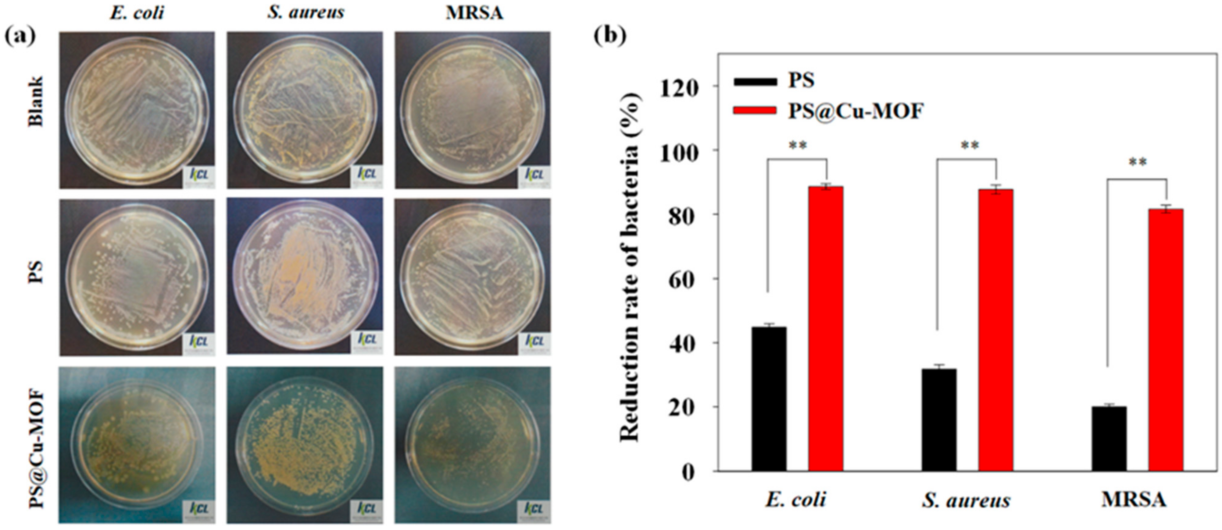 Nanomaterials 11 00719 g005
