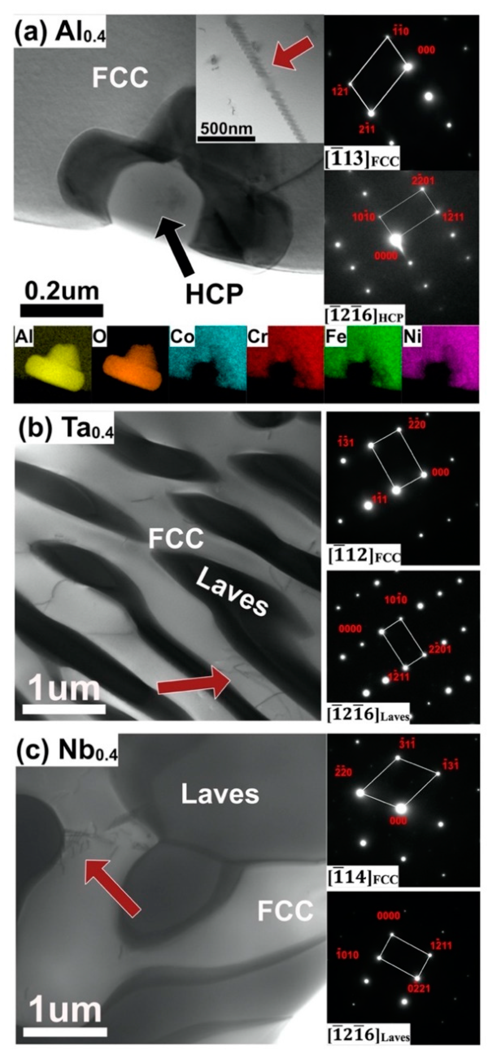 Nanomaterials 11 00721 g001