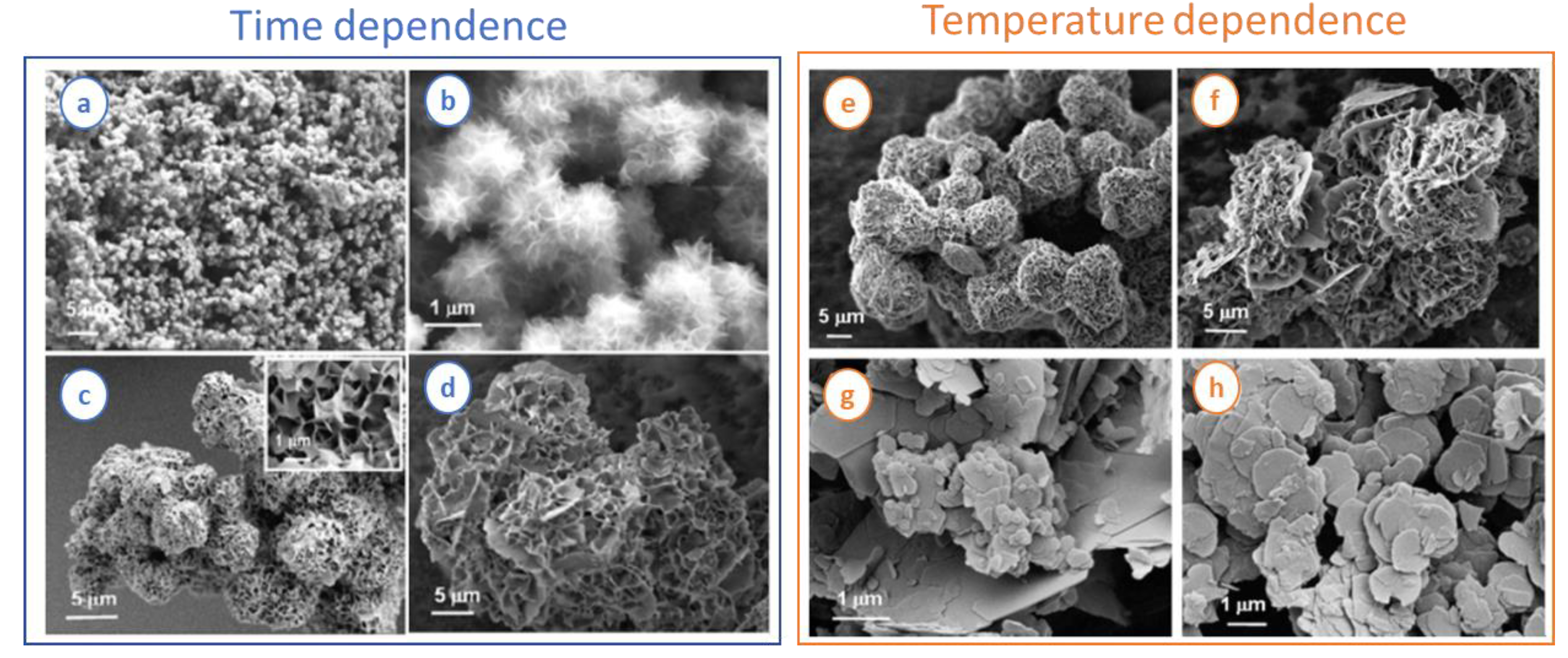 Nanomaterials 11 00725 g001 Nanomaterials 11 00725 g001