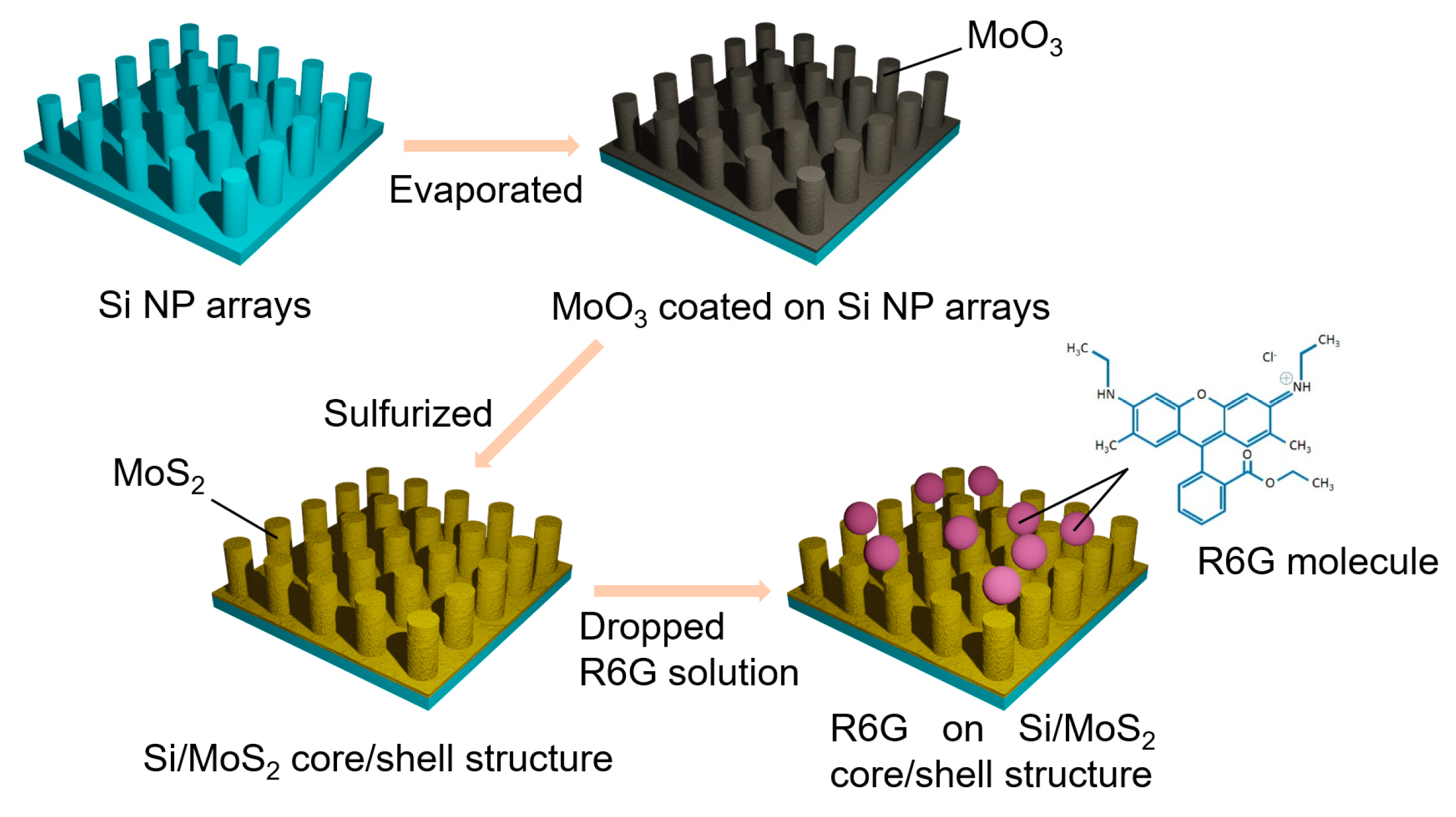 Nanomaterials 11 00733 g001