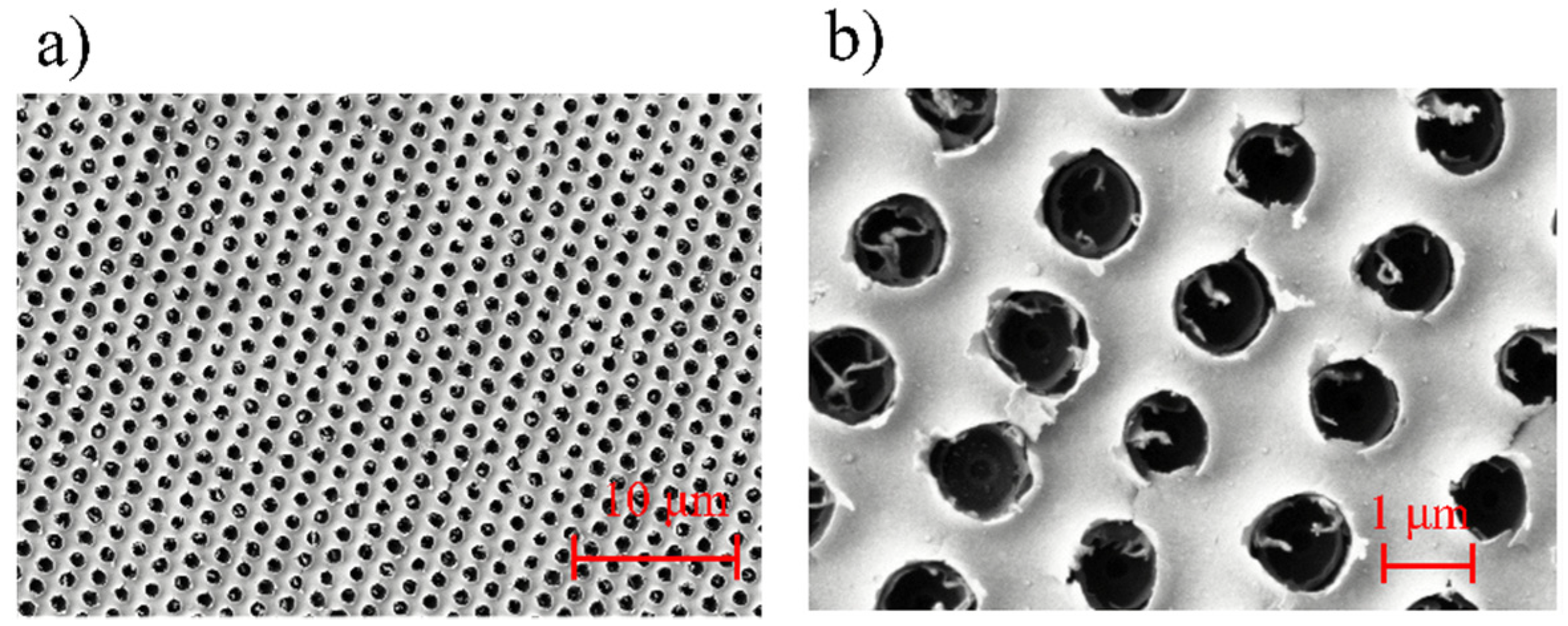 Nanomaterials 11 00742 g012