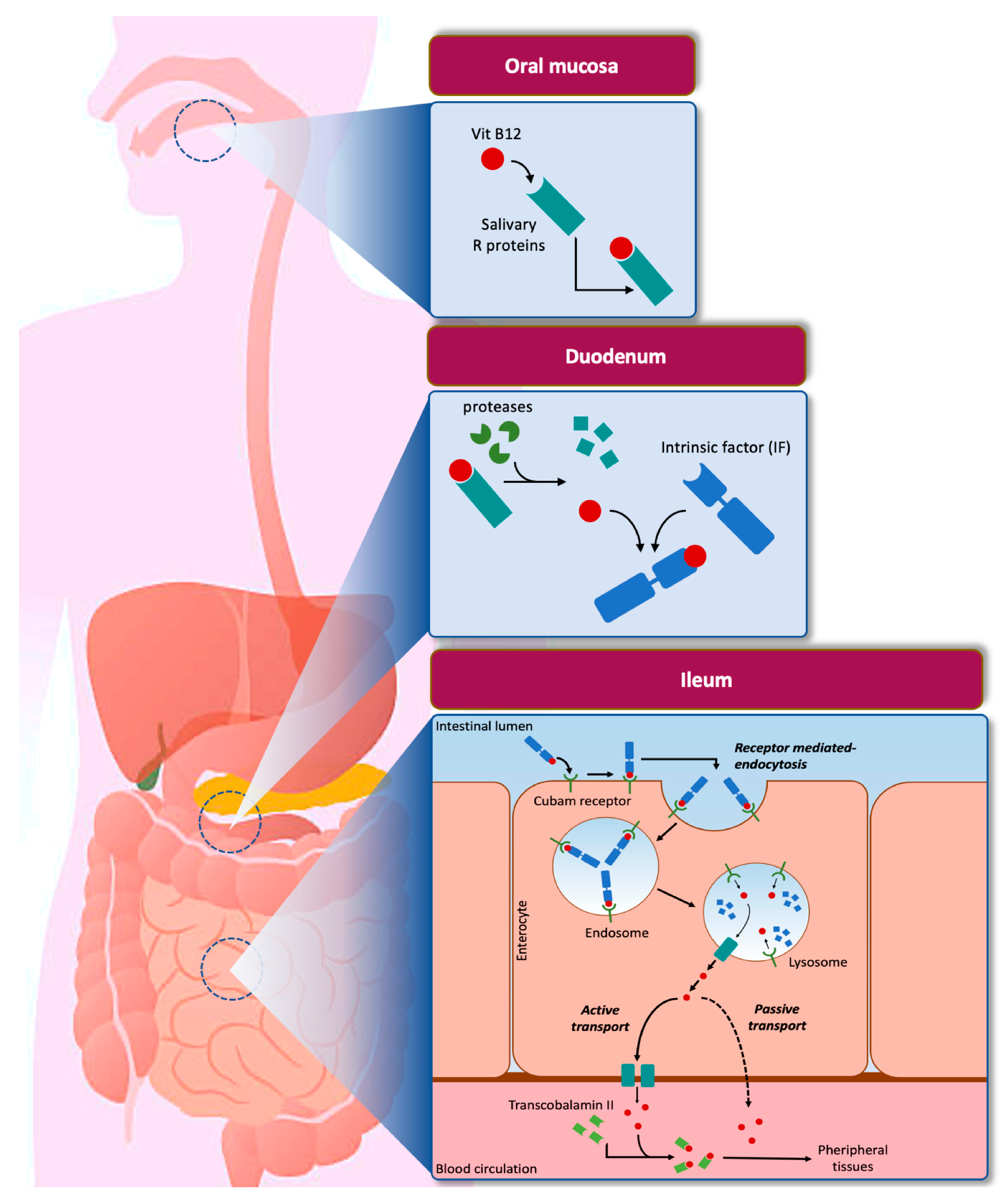 Nanomaterials 11 00743 g001 Nanomaterials 11 00743 g001