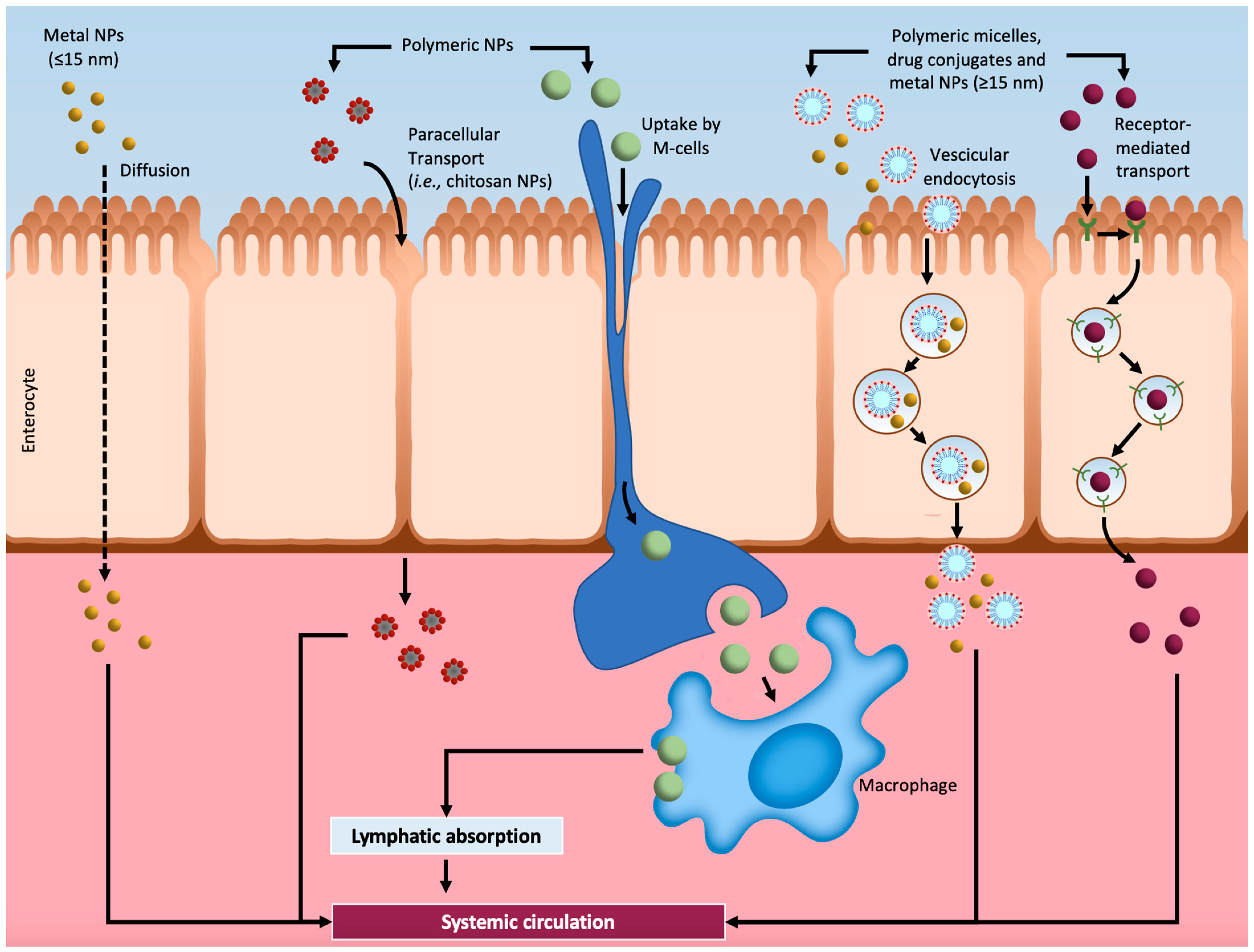 Nanomaterials 11 00743 g002 Nanomaterials 11 00743 g002
