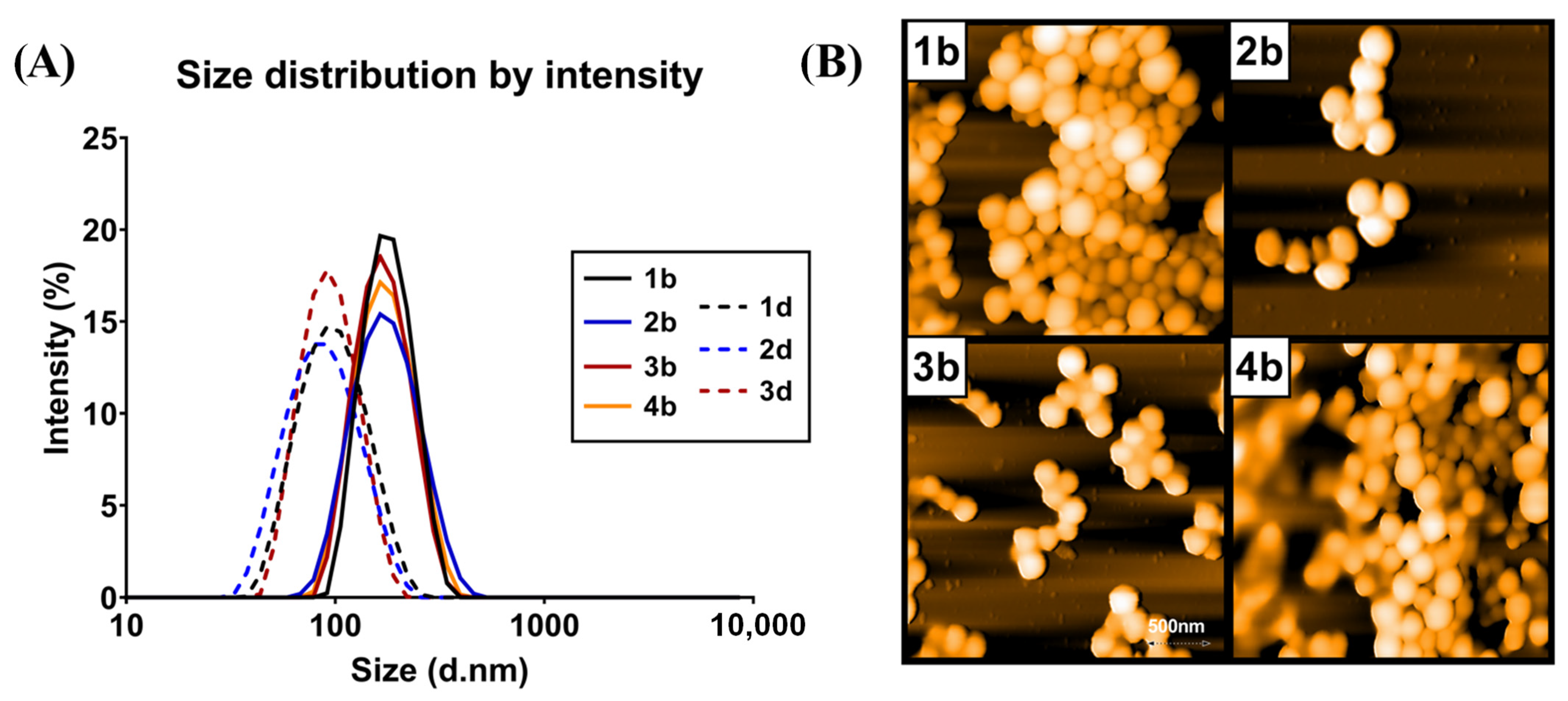 Nanomaterials 11 00749 g001