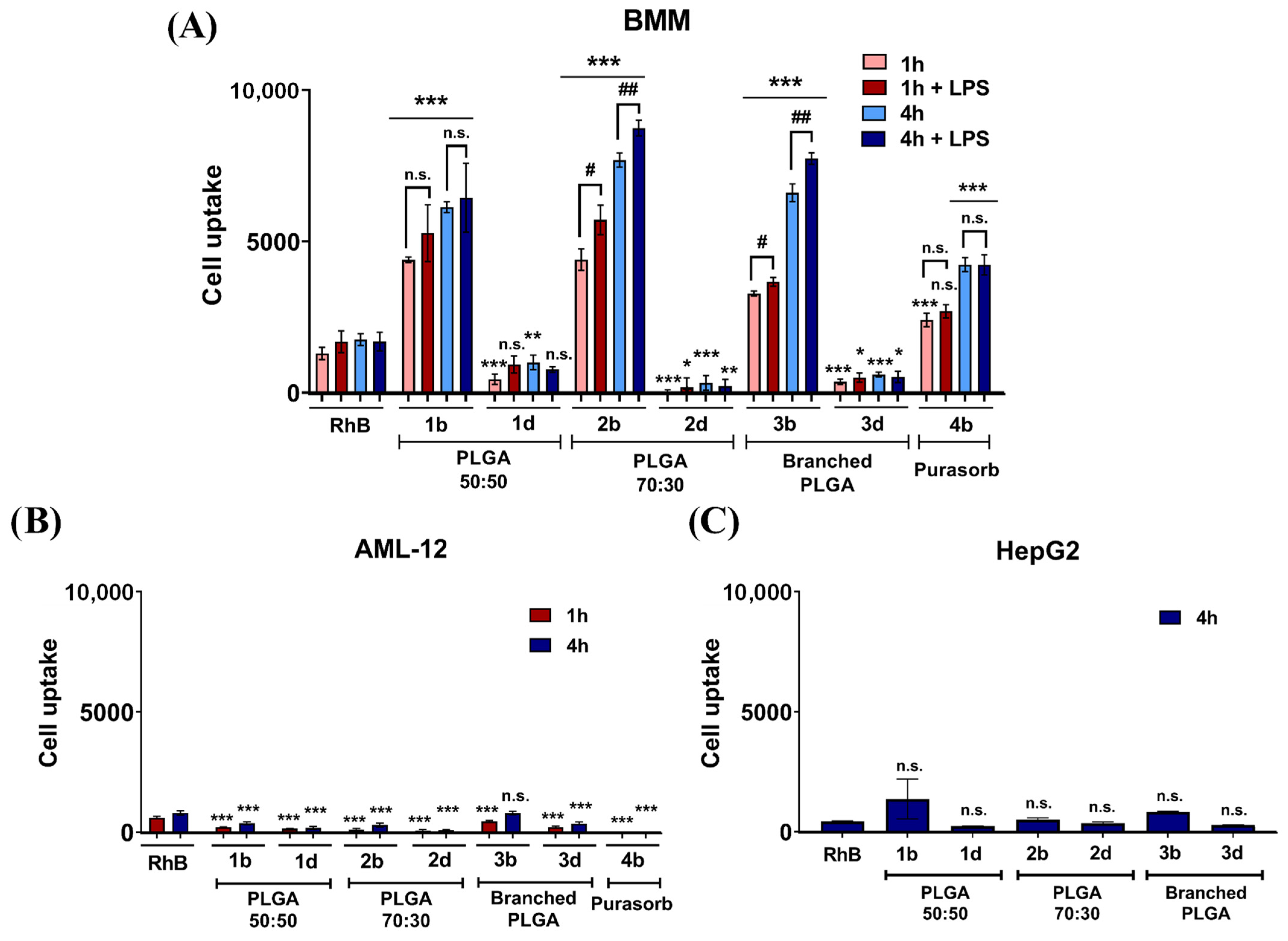Nanomaterials 11 00749 g002