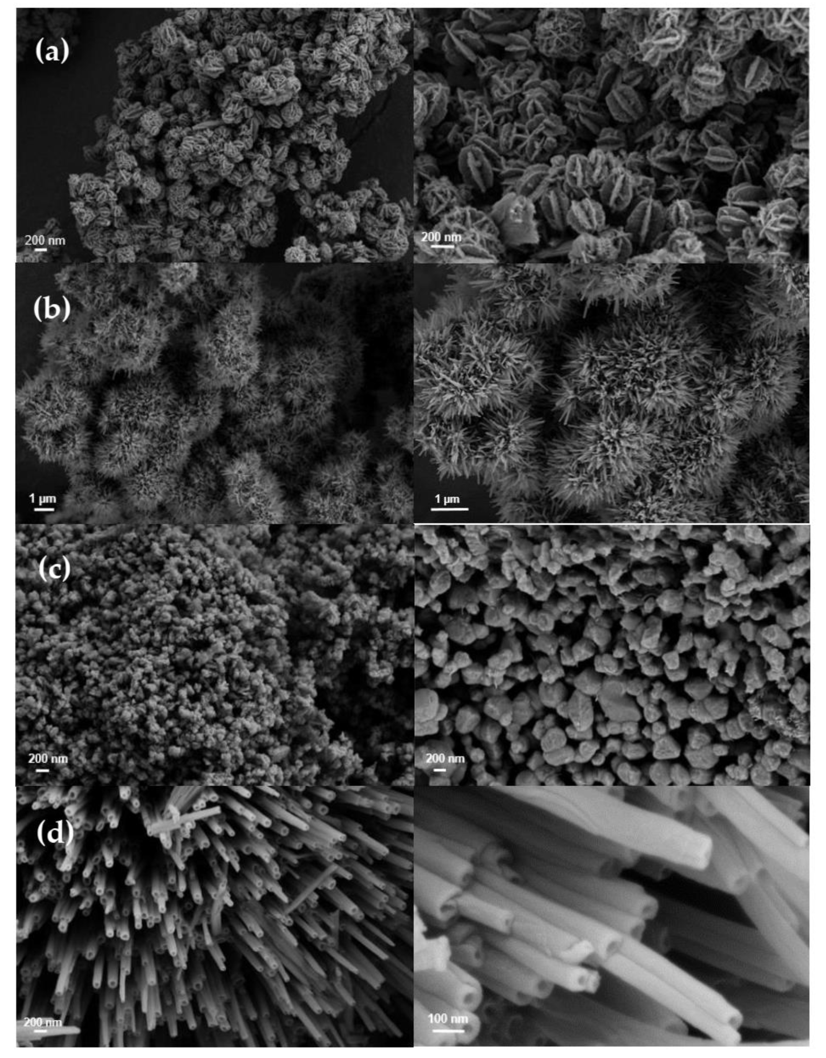 Nanomaterials 11 00752 g001