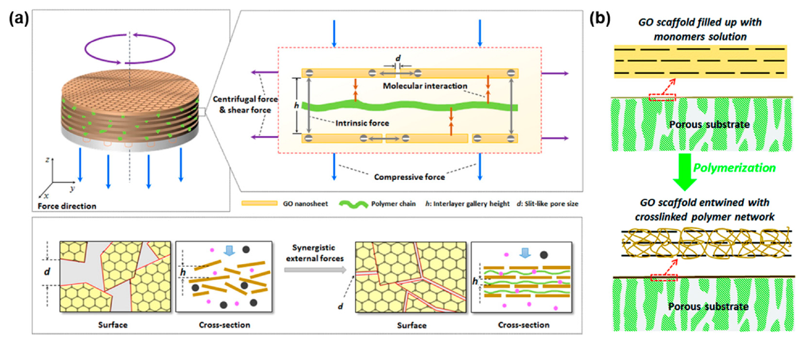 Nanomaterials 11 00757 g004