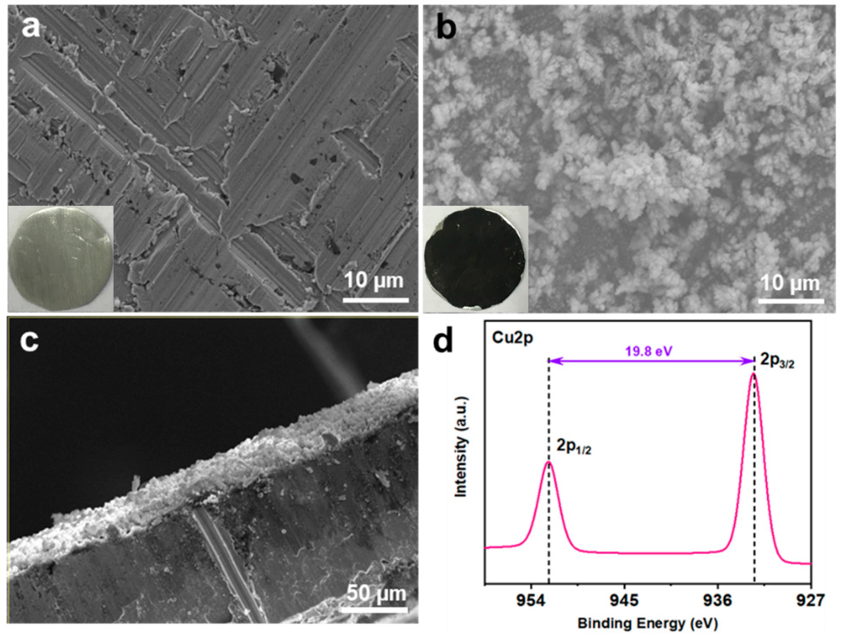 Nanomaterials 11 00764 g001 Nanomaterials 11 00764 g001