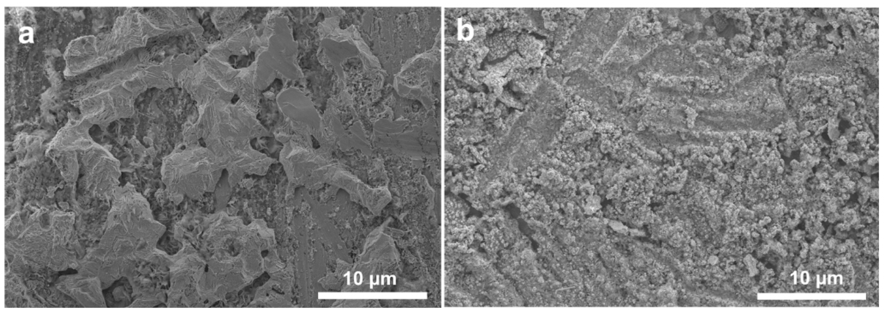 Nanomaterials 11 00764 g005 Nanomaterials 11 00764 g005