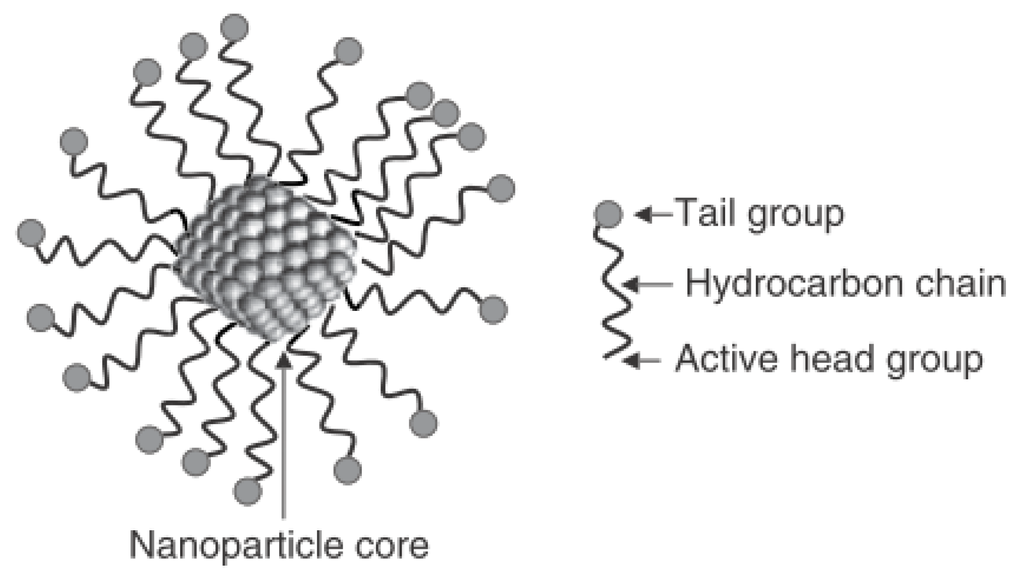 Nanomaterials 11 00765 g001 Nanomaterials 11 00765 g001