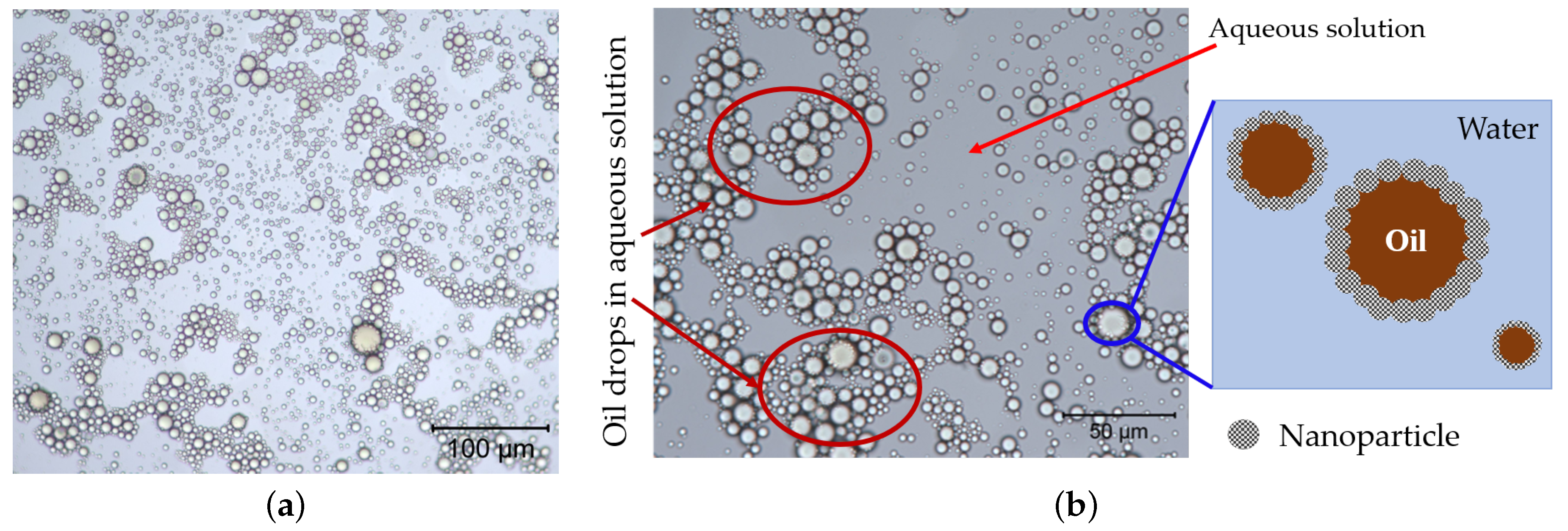 Nanomaterials 11 00765 g008 Nanomaterials 11 00765 g008