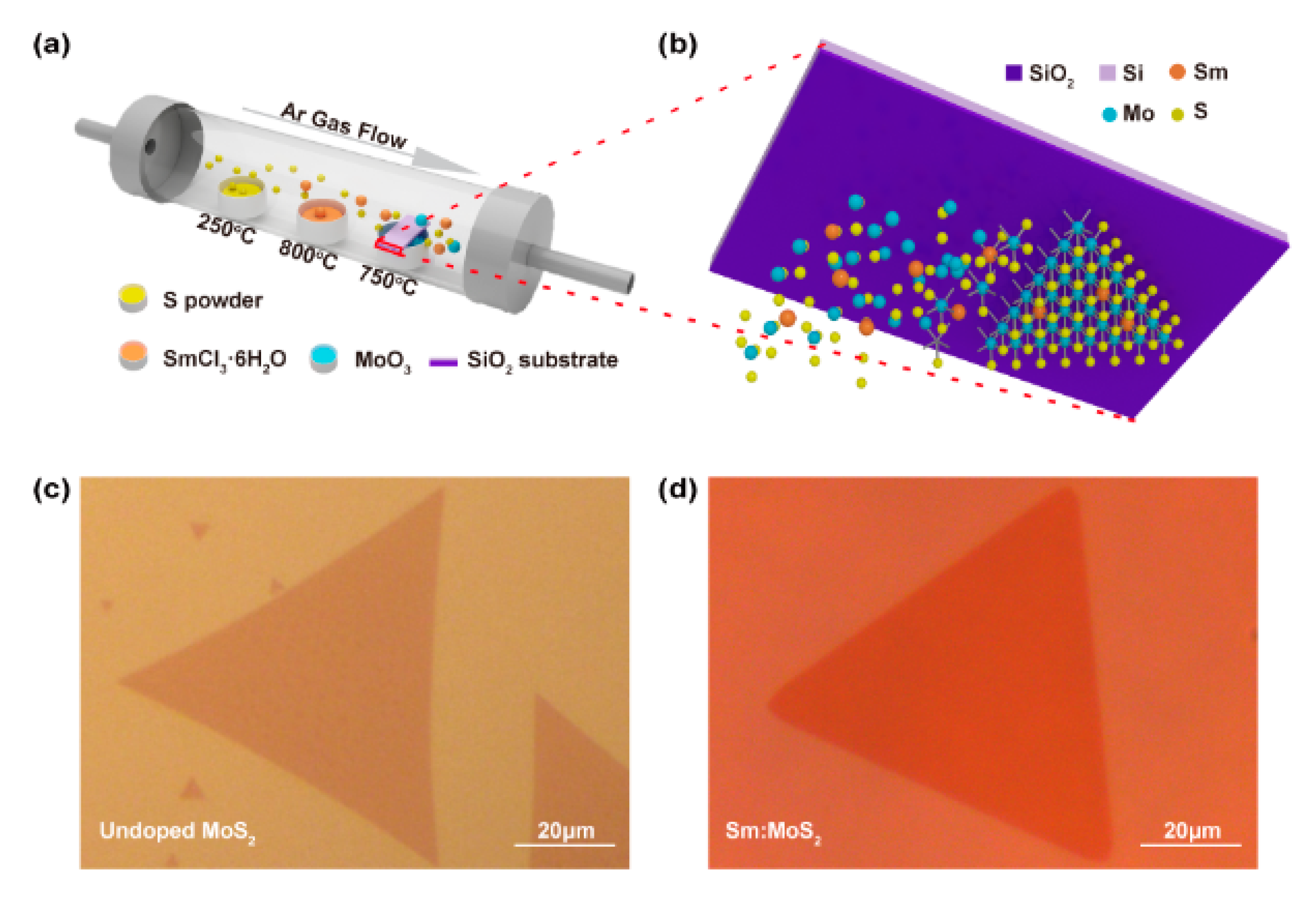 Nanomaterials 11 00769 g001 Nanomaterials 11 00769 g001