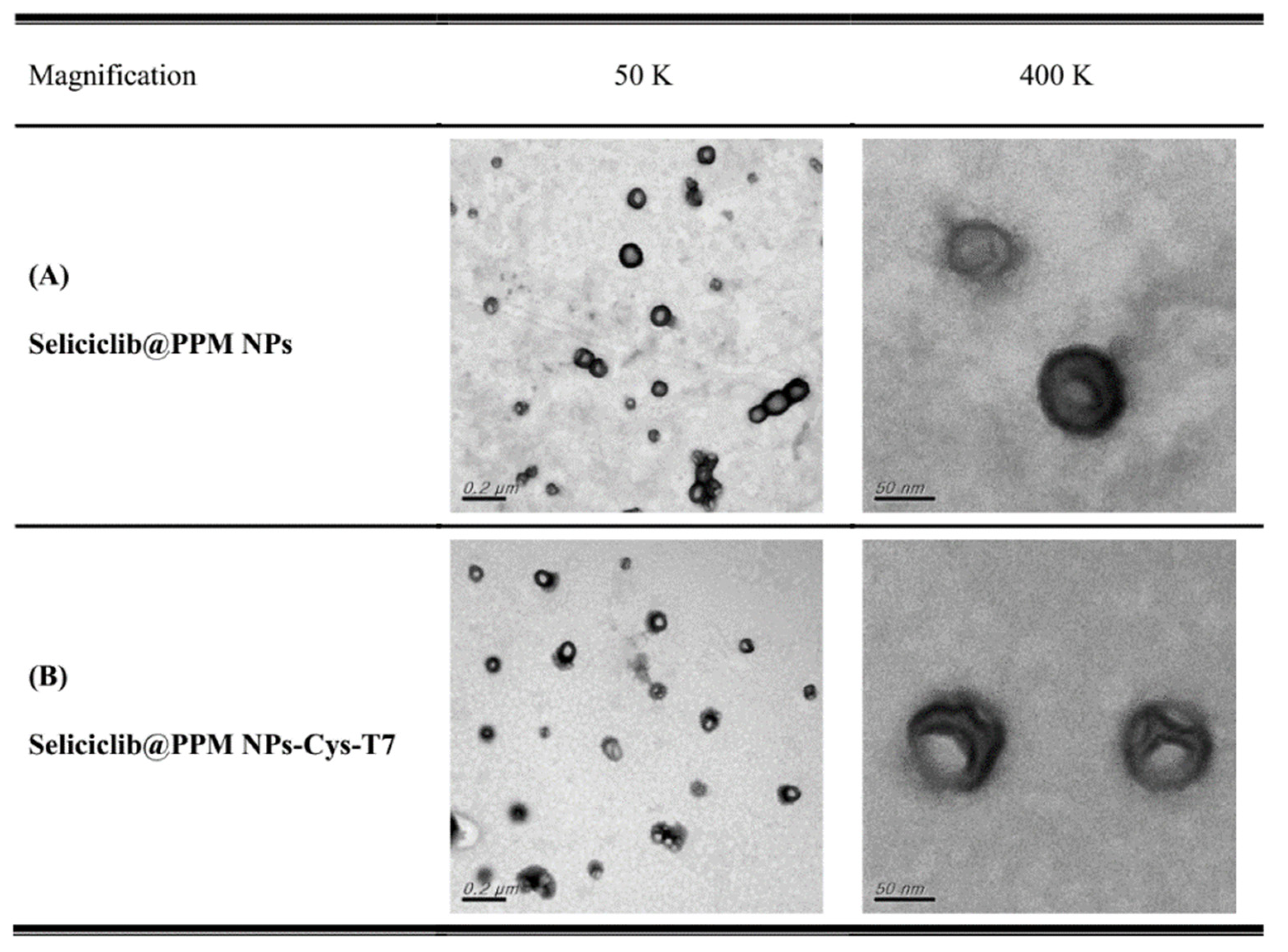 Nanomaterials 11 00772 g002