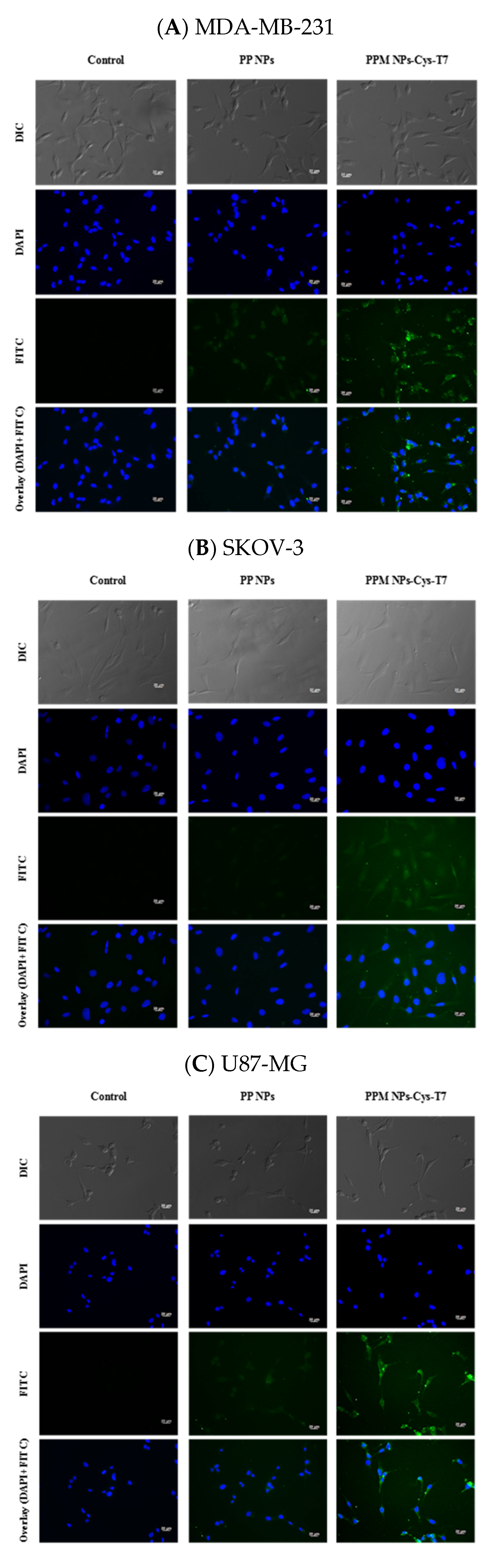 Nanomaterials 11 00772 g006a