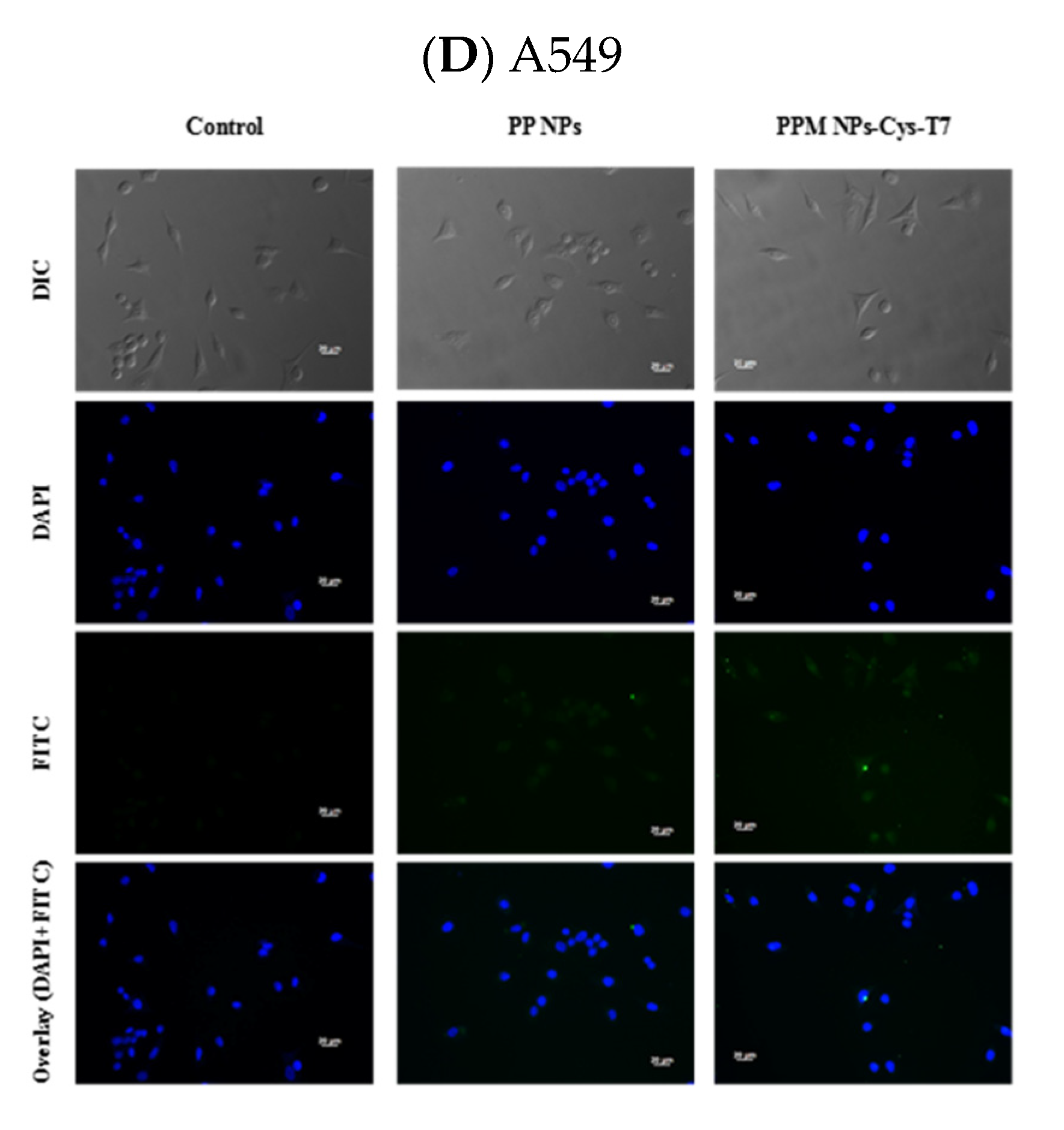 Nanomaterials 11 00772 g006b