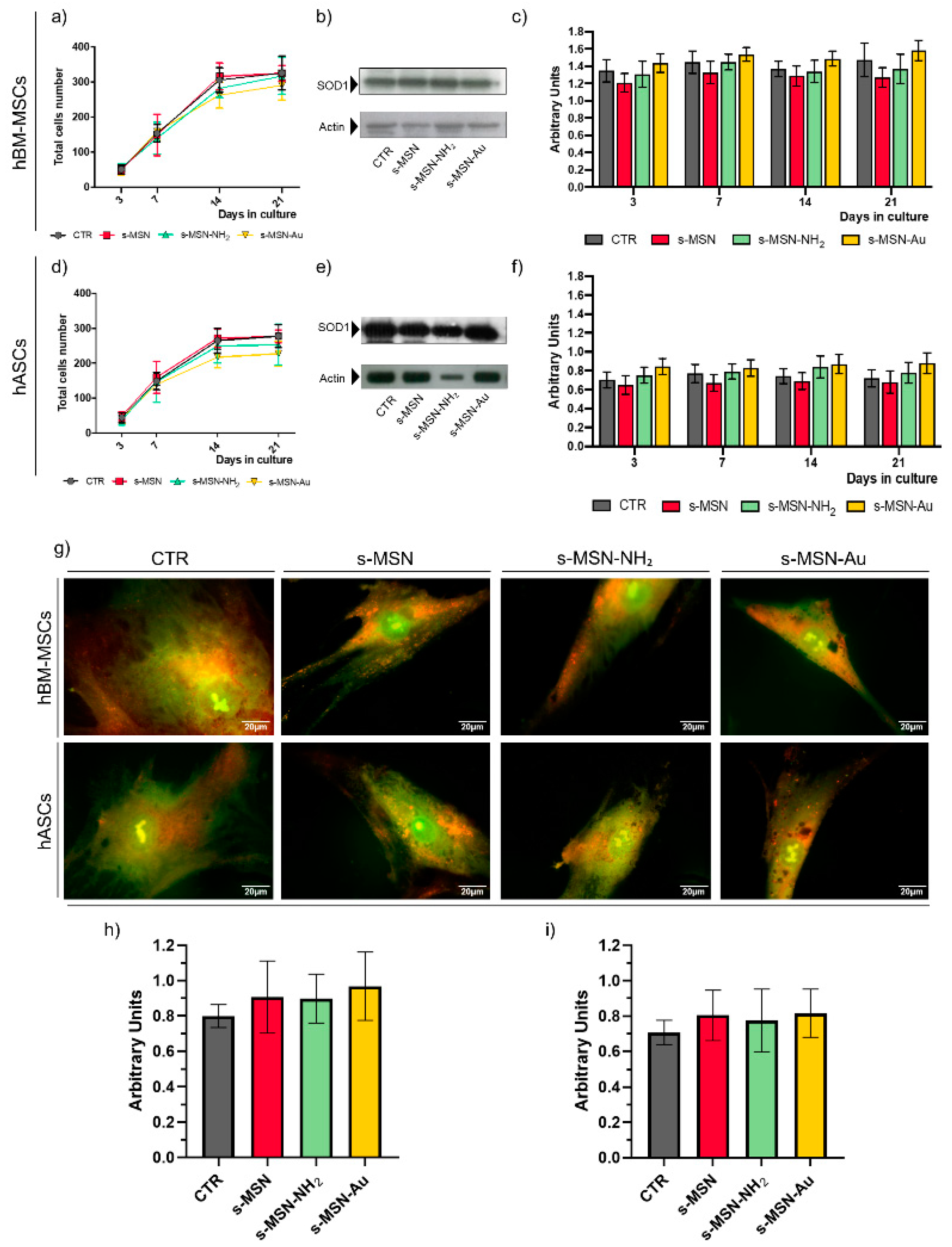 Nanomaterials 11 00779 g004
