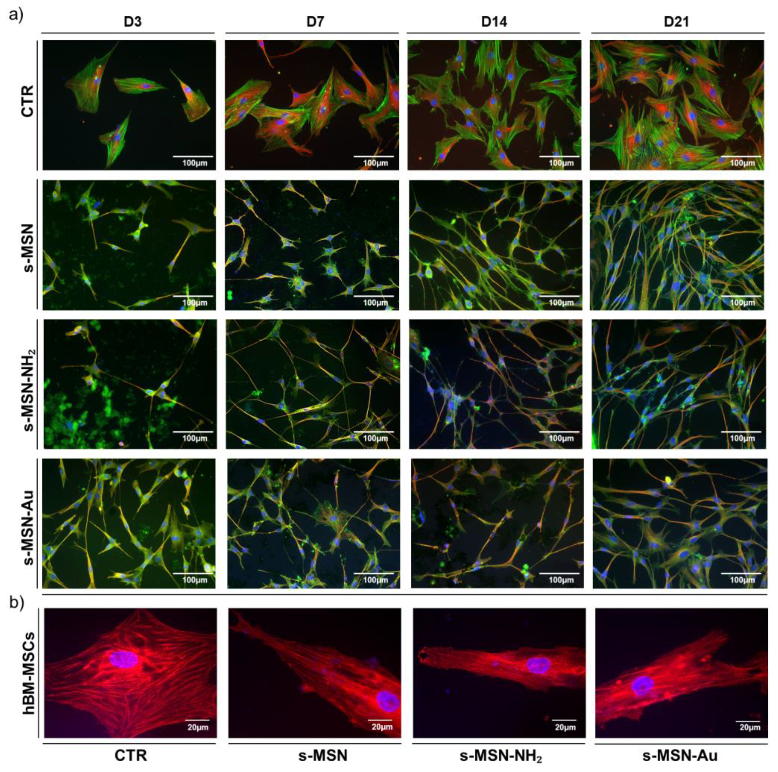 Nanomaterials 11 00779 g006