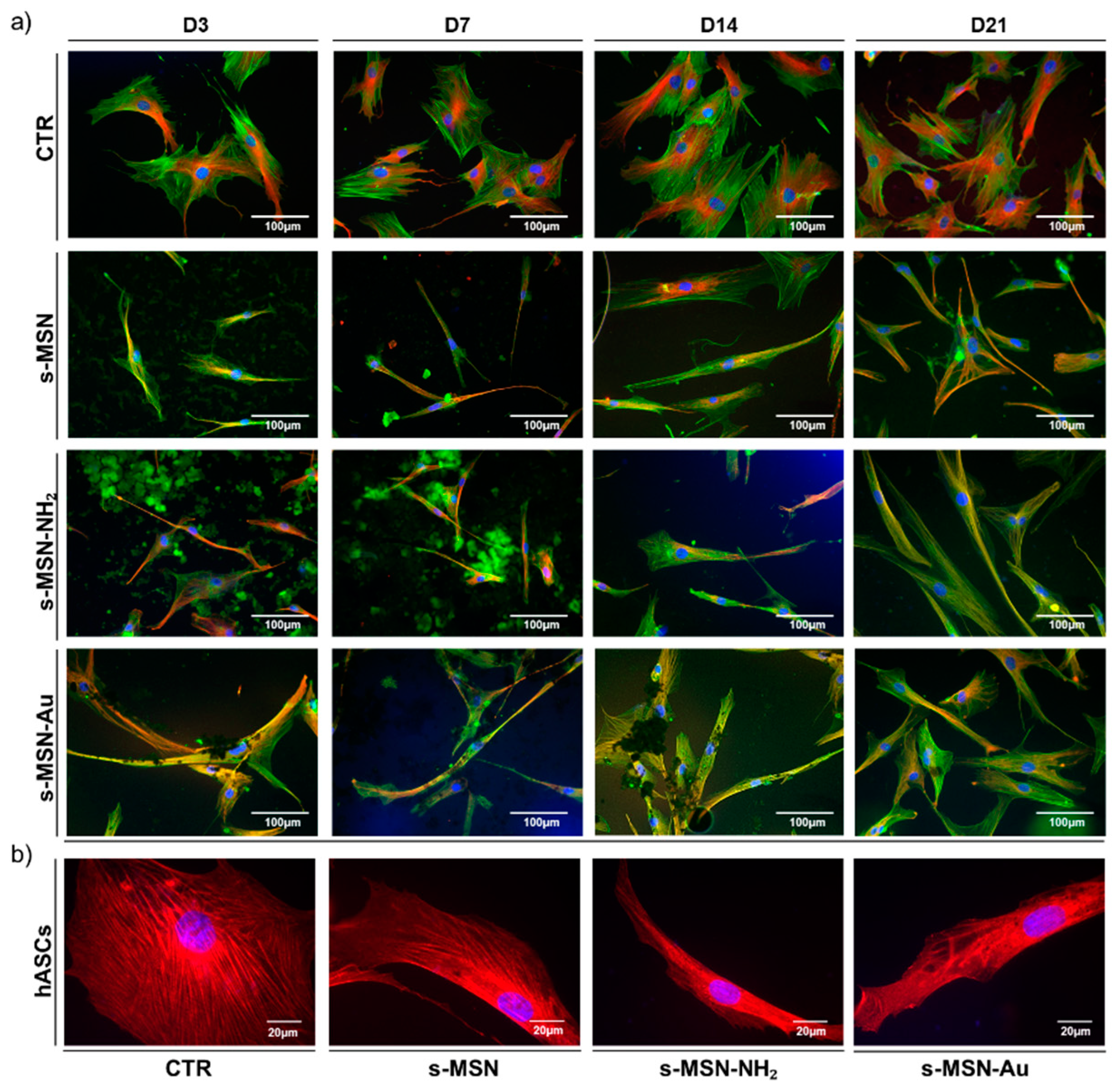 Nanomaterials 11 00779 g007