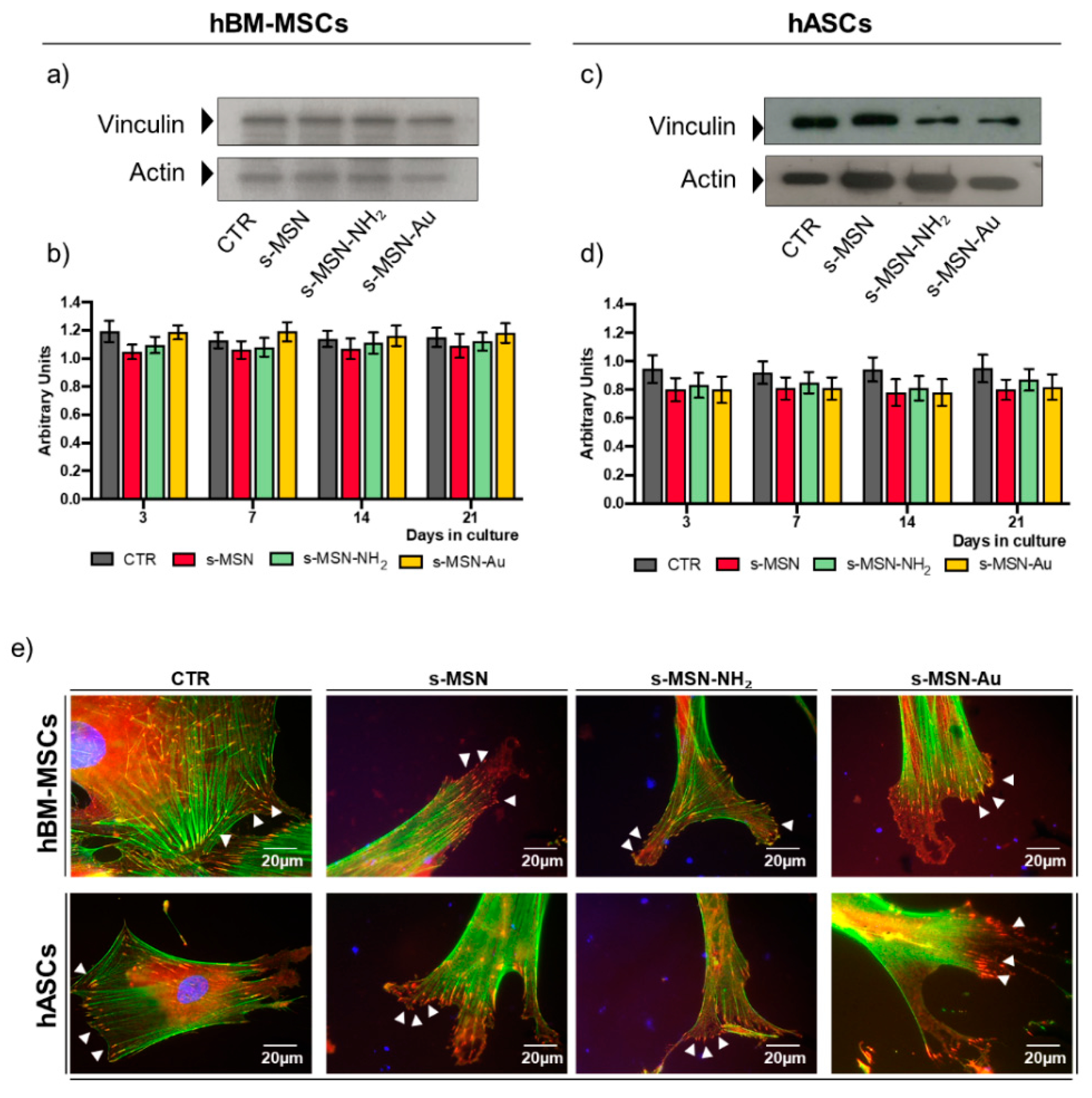 Nanomaterials 11 00779 g009
