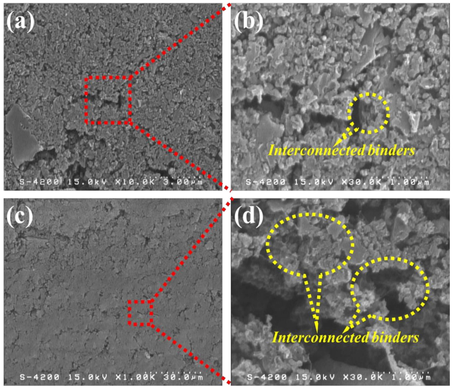 Nanomaterials 11 00785 g001