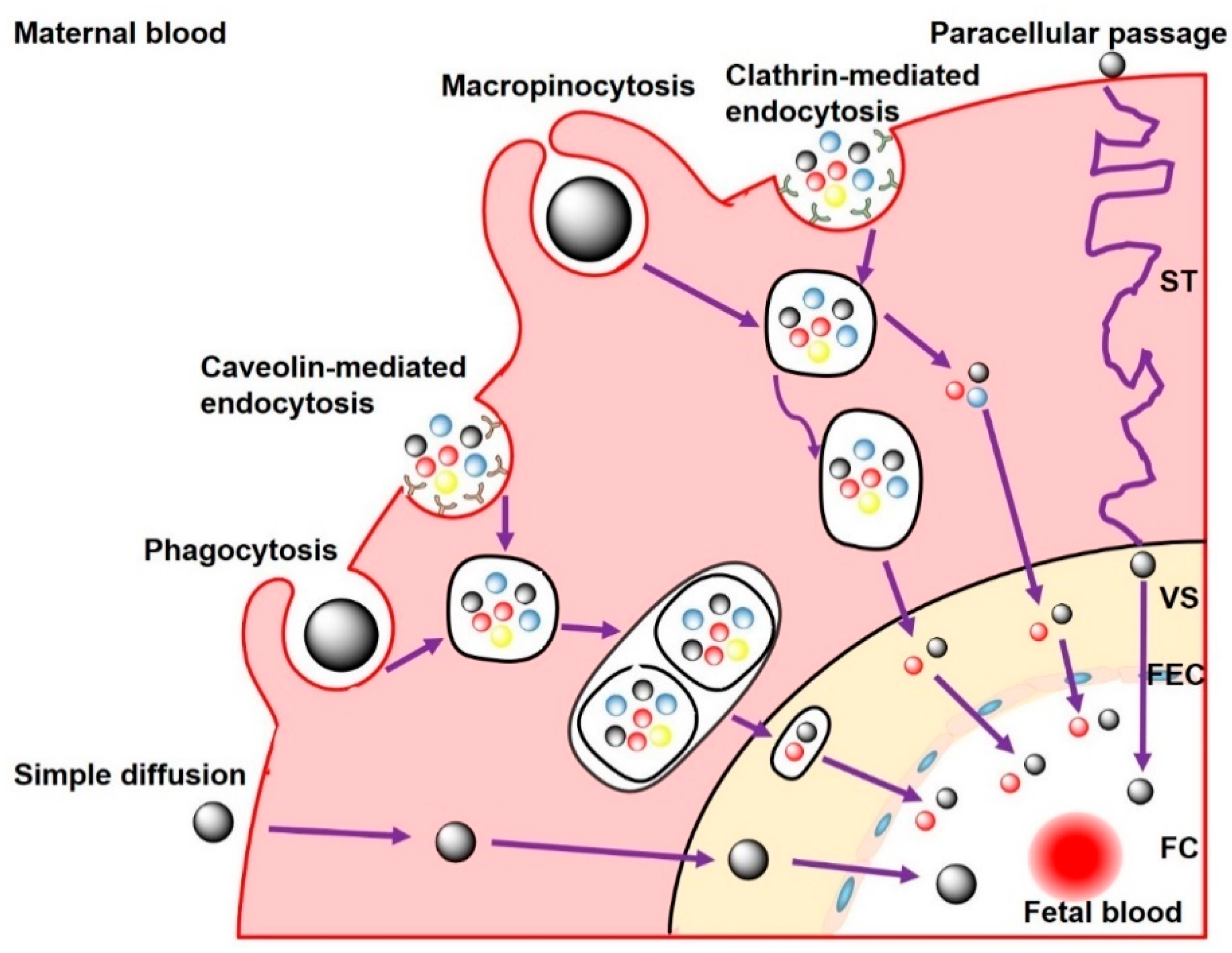Nanomaterials 11 00791 g003 Nanomaterials 11 00791 g003