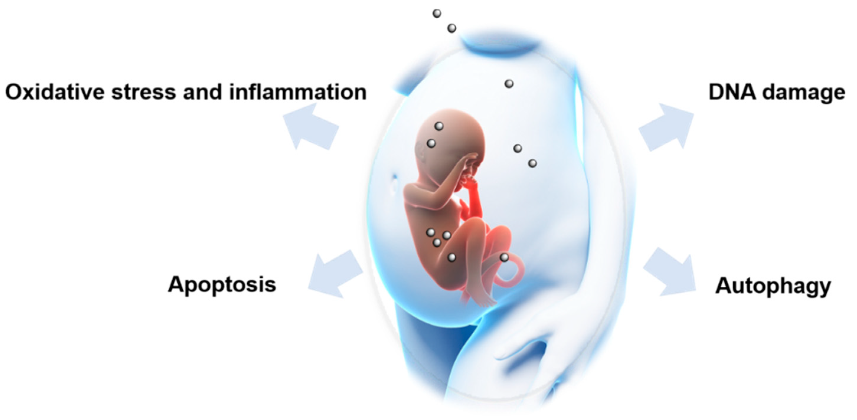 Nanomaterials 11 00791 g004 Nanomaterials 11 00791 g004