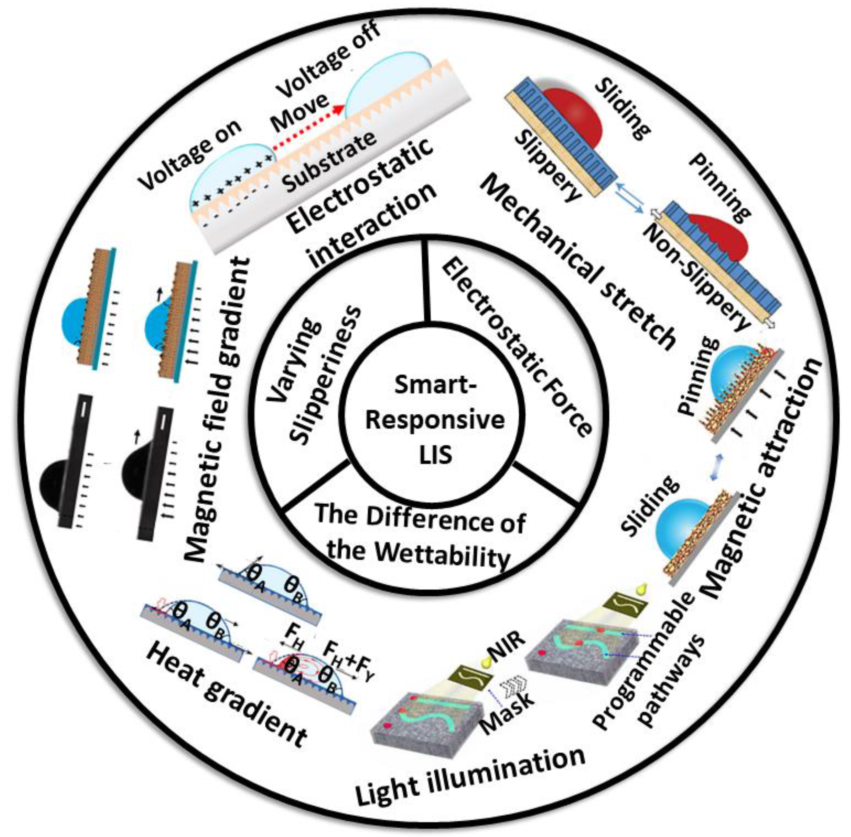 Nanomaterials 11 00801 g001