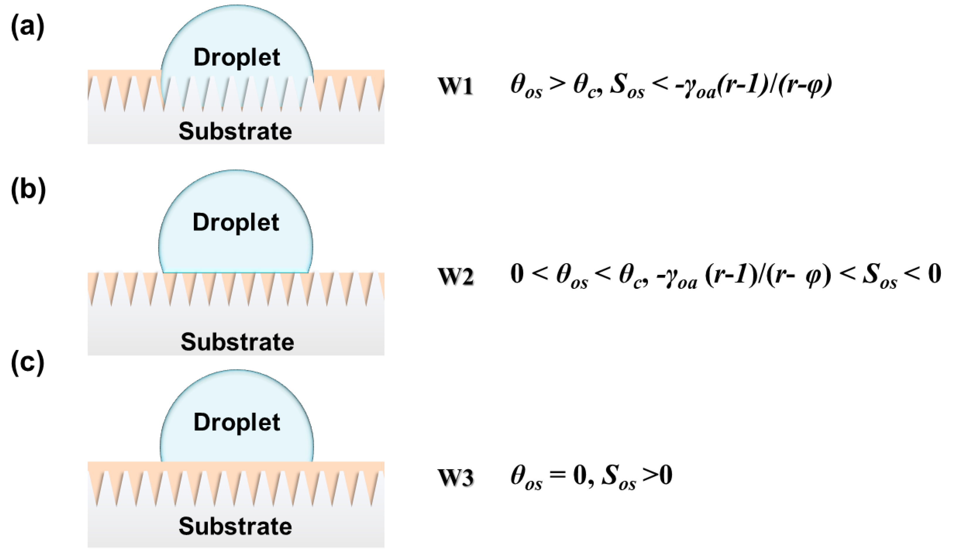 Nanomaterials 11 00801 g002