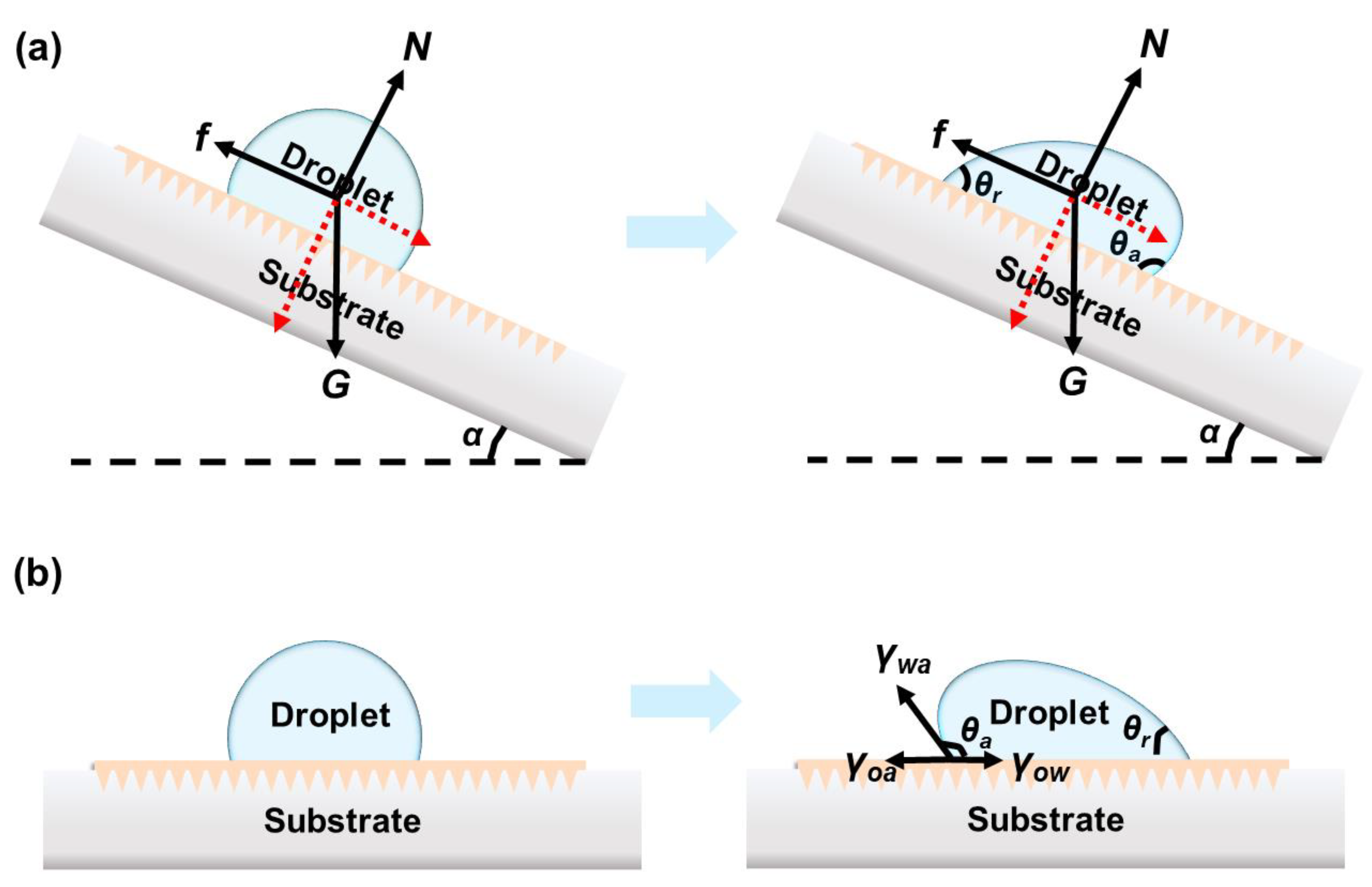 Nanomaterials 11 00801 g003