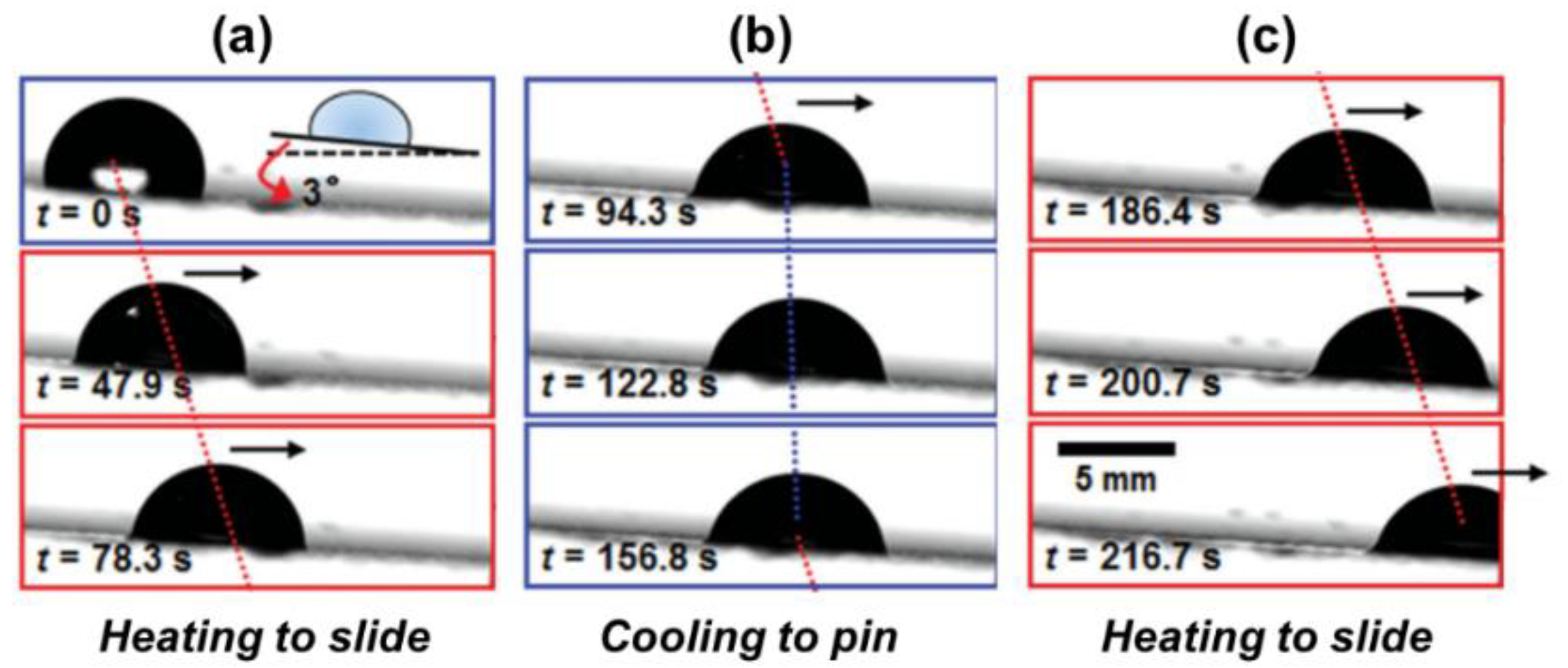 Nanomaterials 11 00801 g004