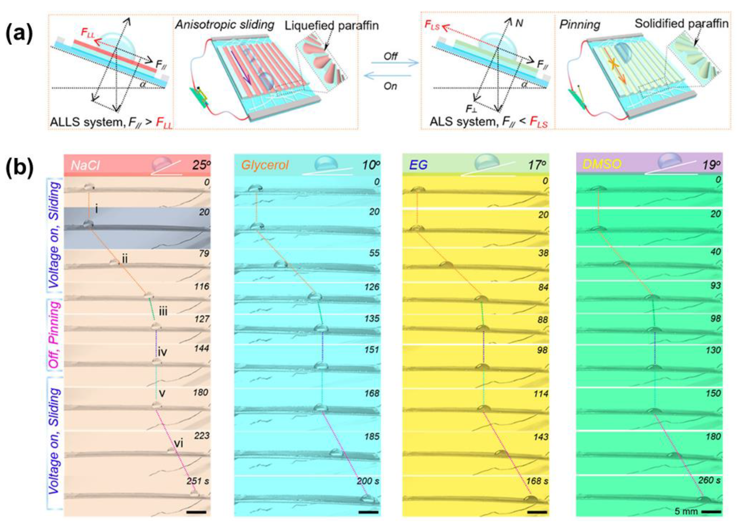 Nanomaterials 11 00801 g005