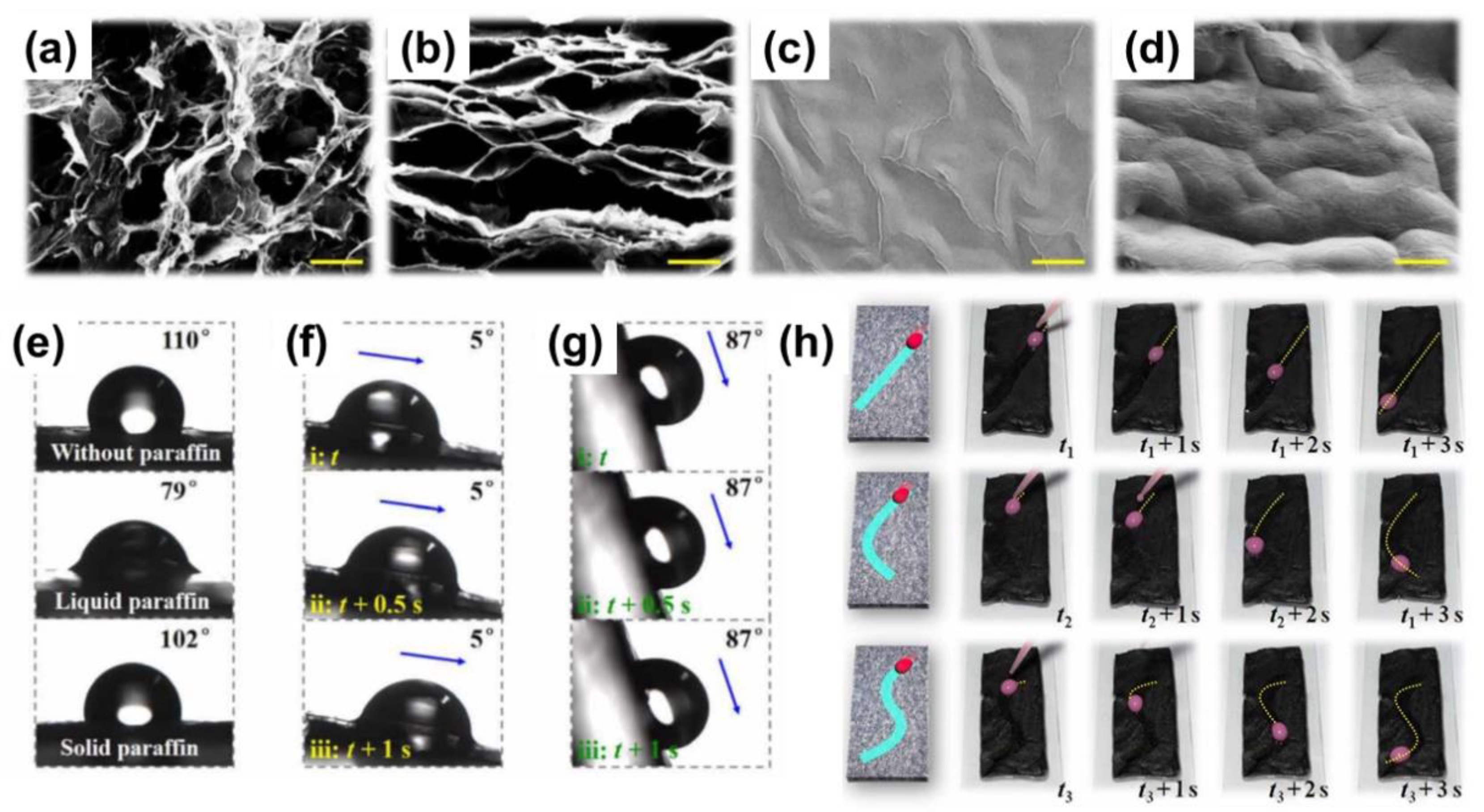 Nanomaterials 11 00801 g006