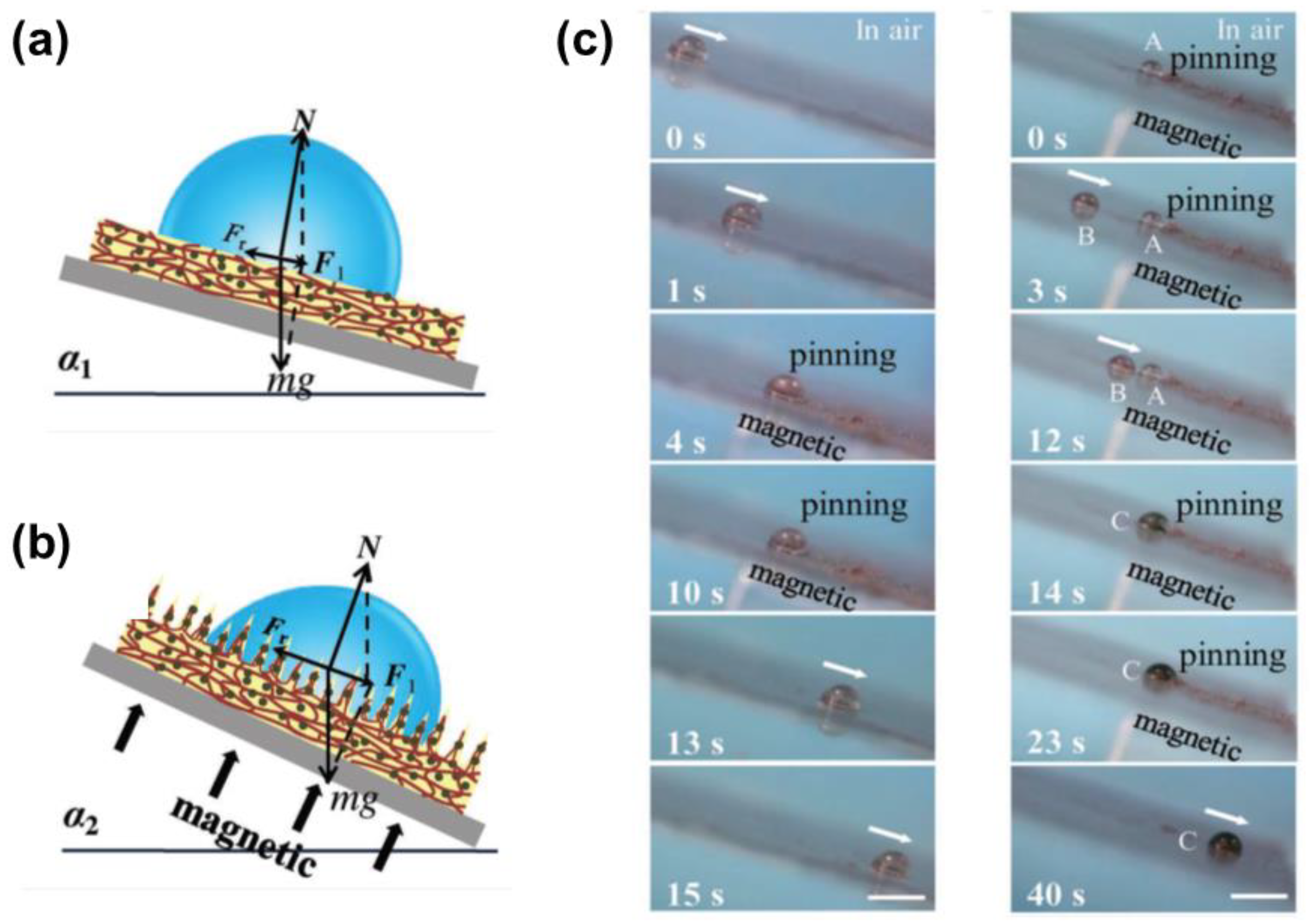 Nanomaterials 11 00801 g007