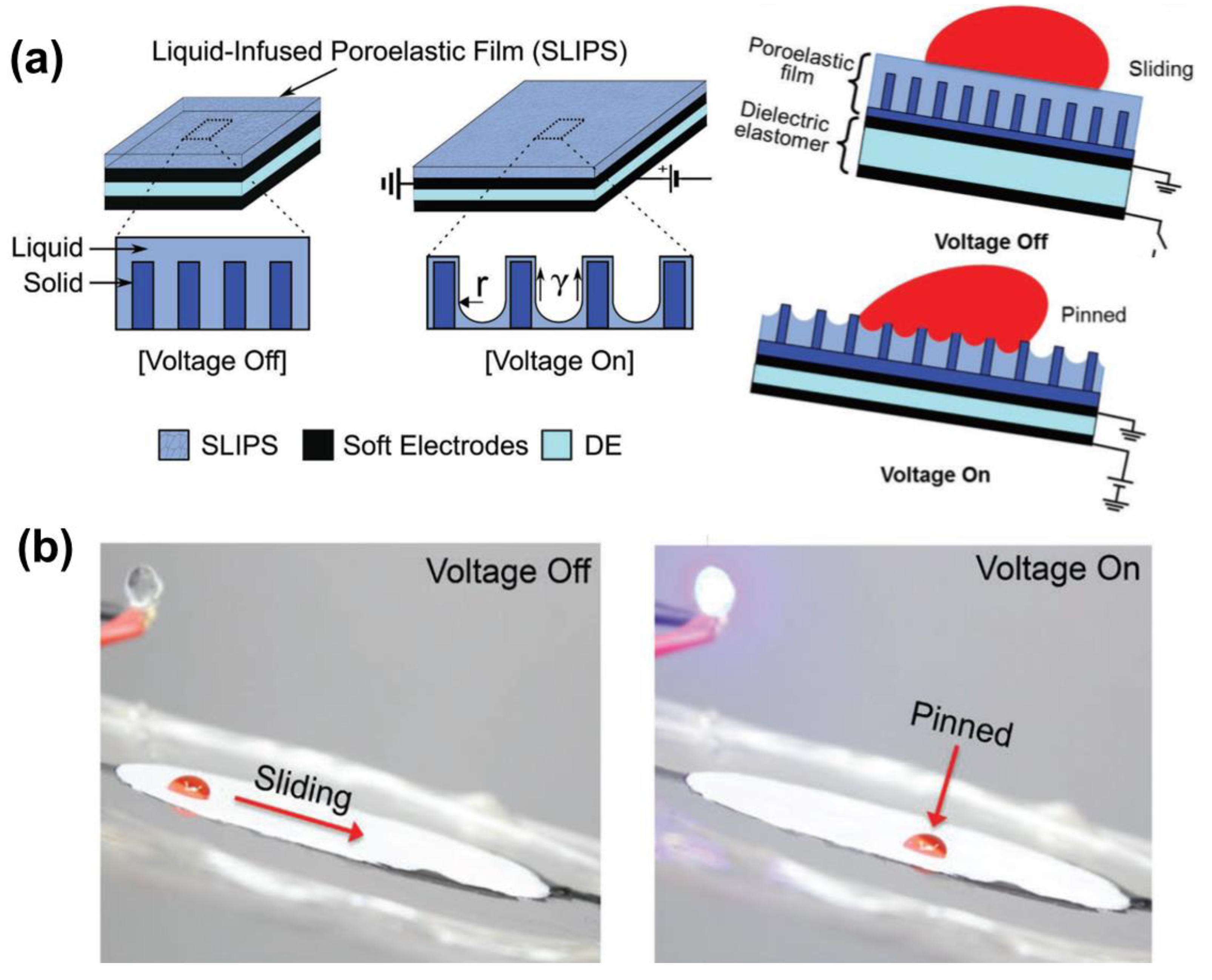 Nanomaterials 11 00801 g008