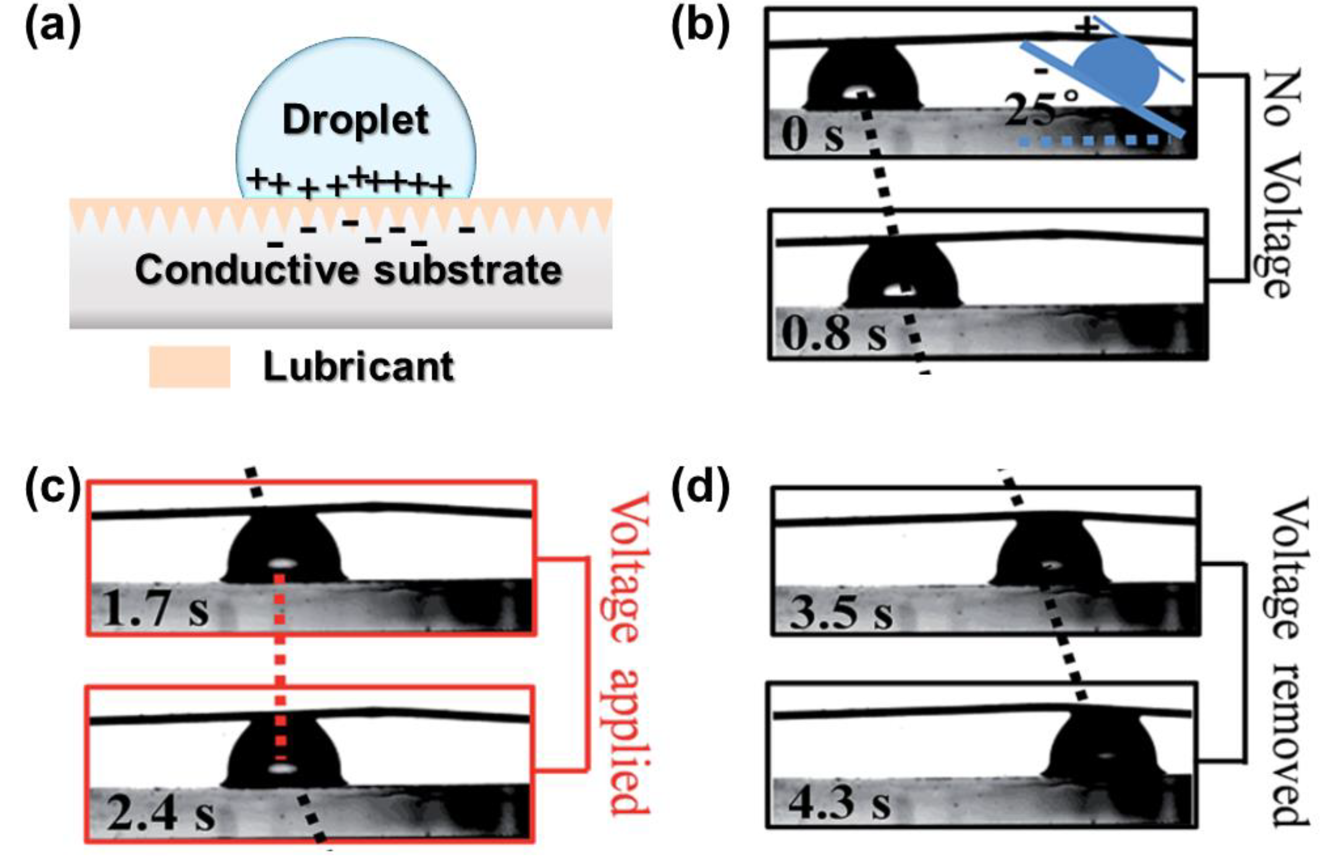 Nanomaterials 11 00801 g009